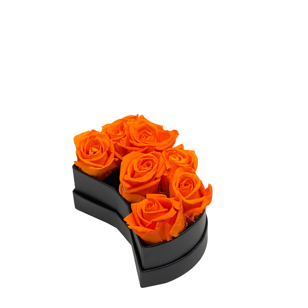 Le Mini Number - 3 - Image 10