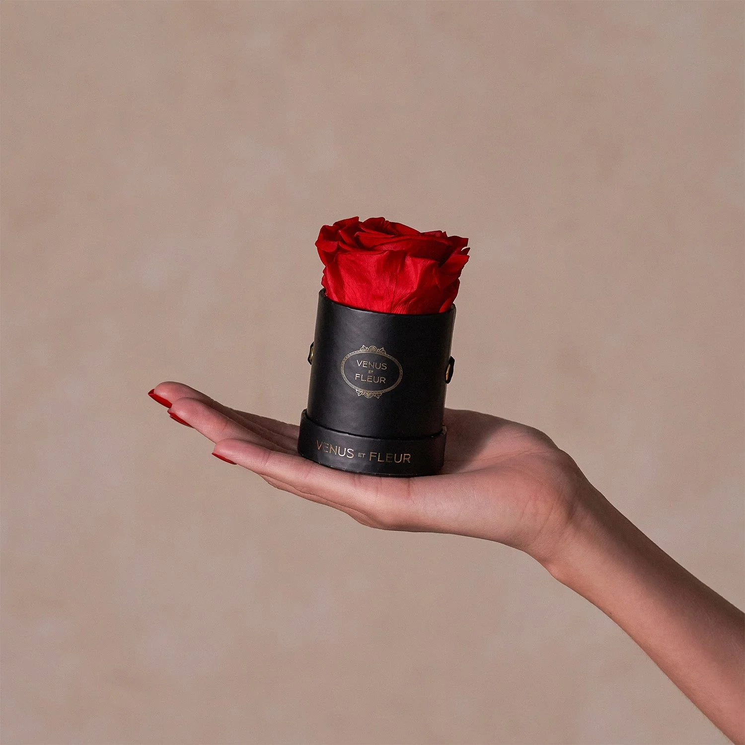 Le Mini Round - Image 10