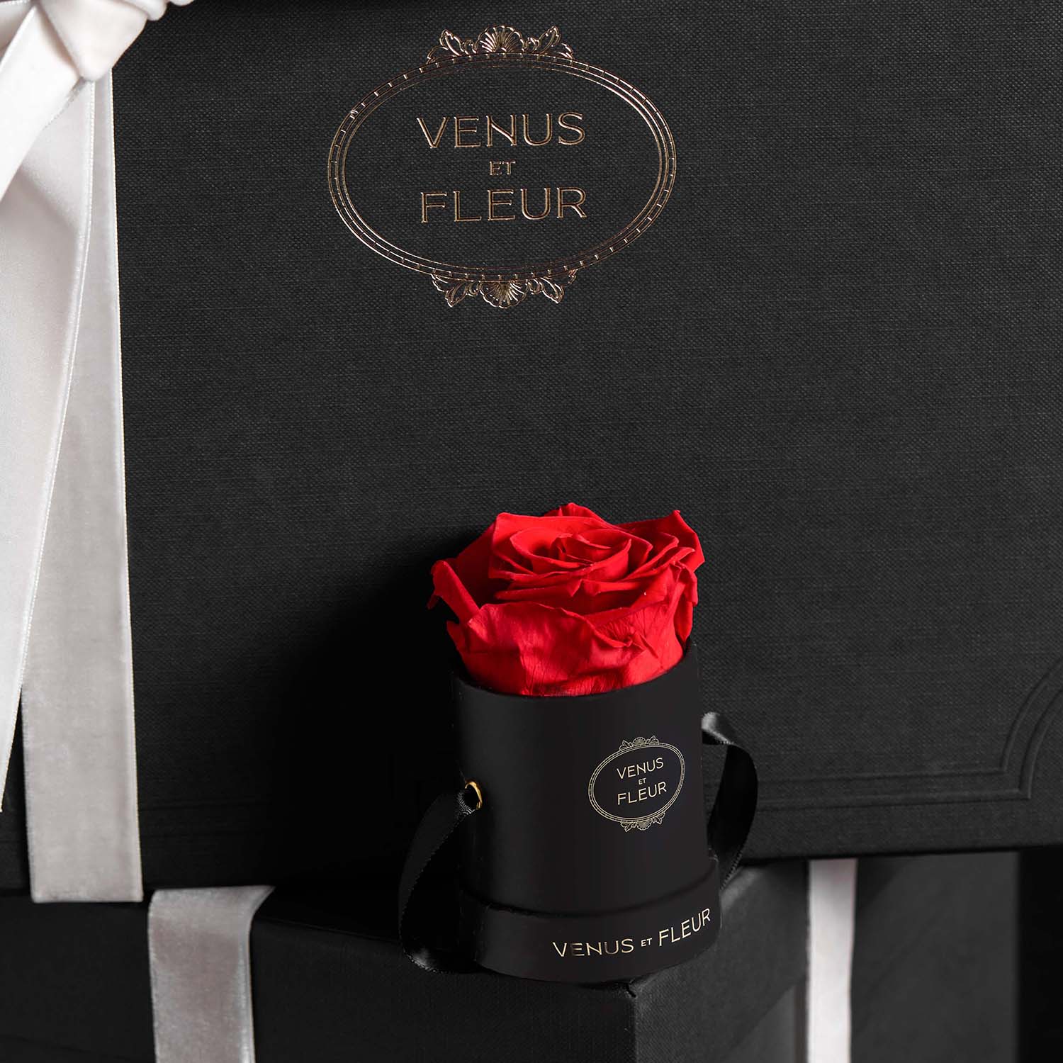 Le Mini Round - Image 11