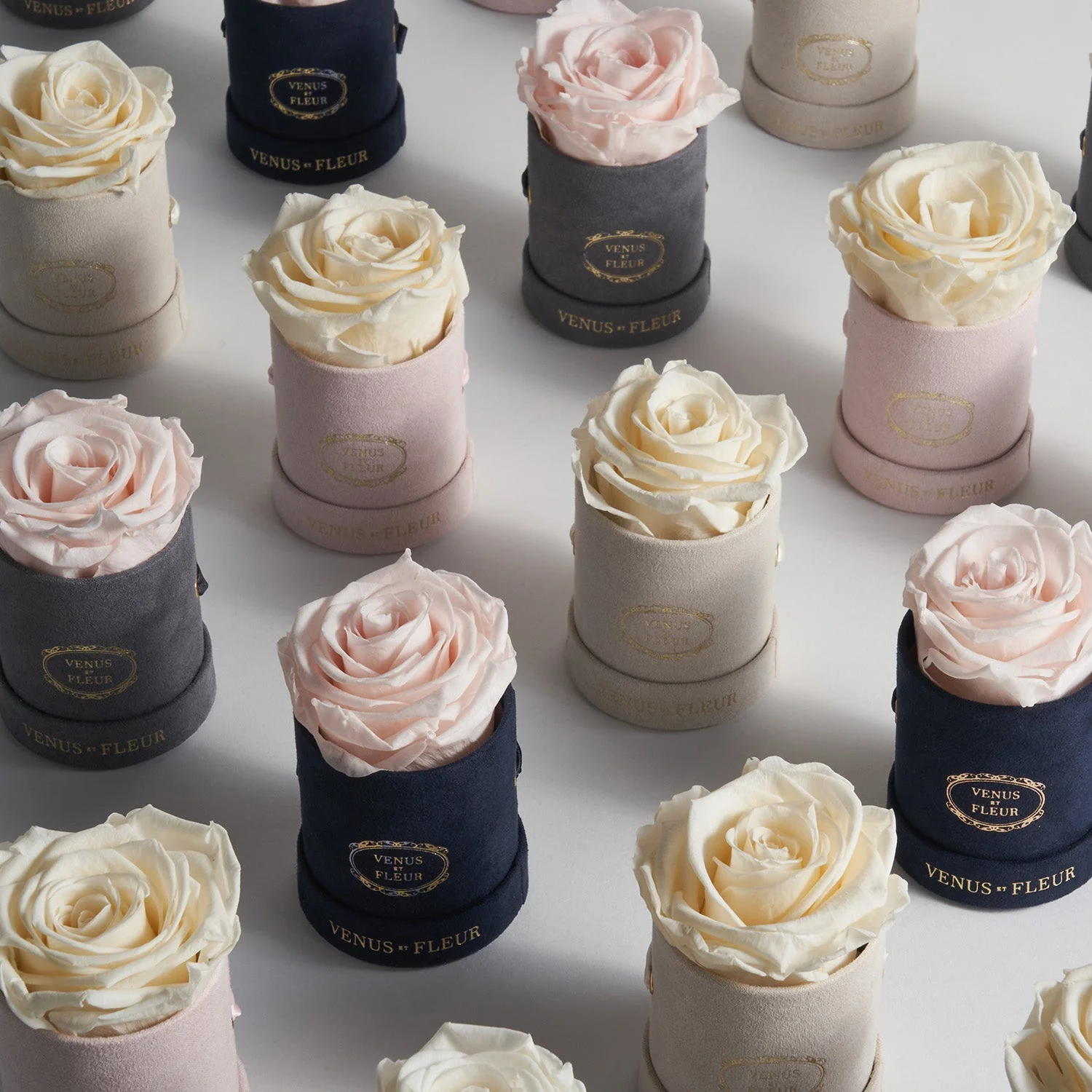 Le Mini Round - Image 7