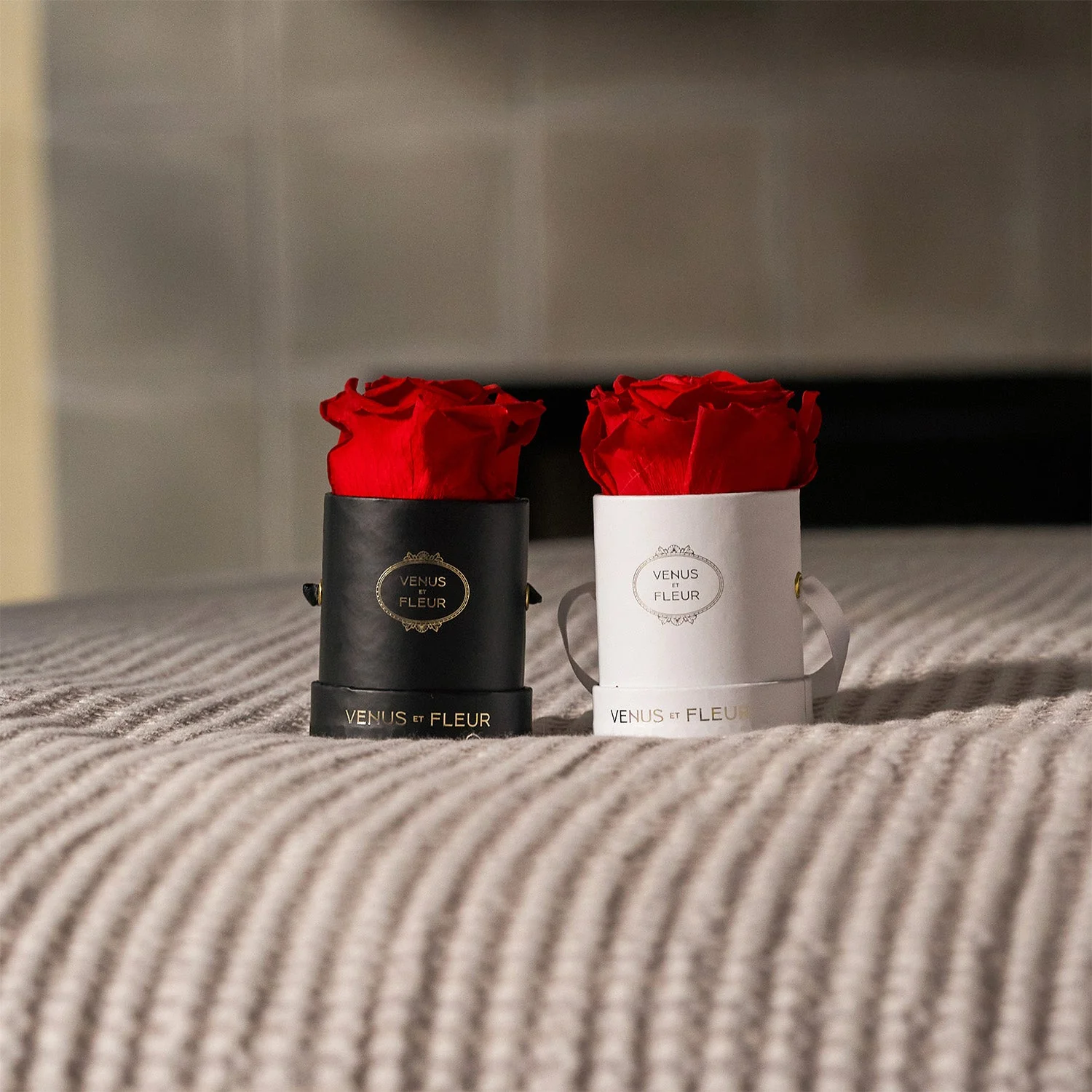 Le Mini Round - Image 11