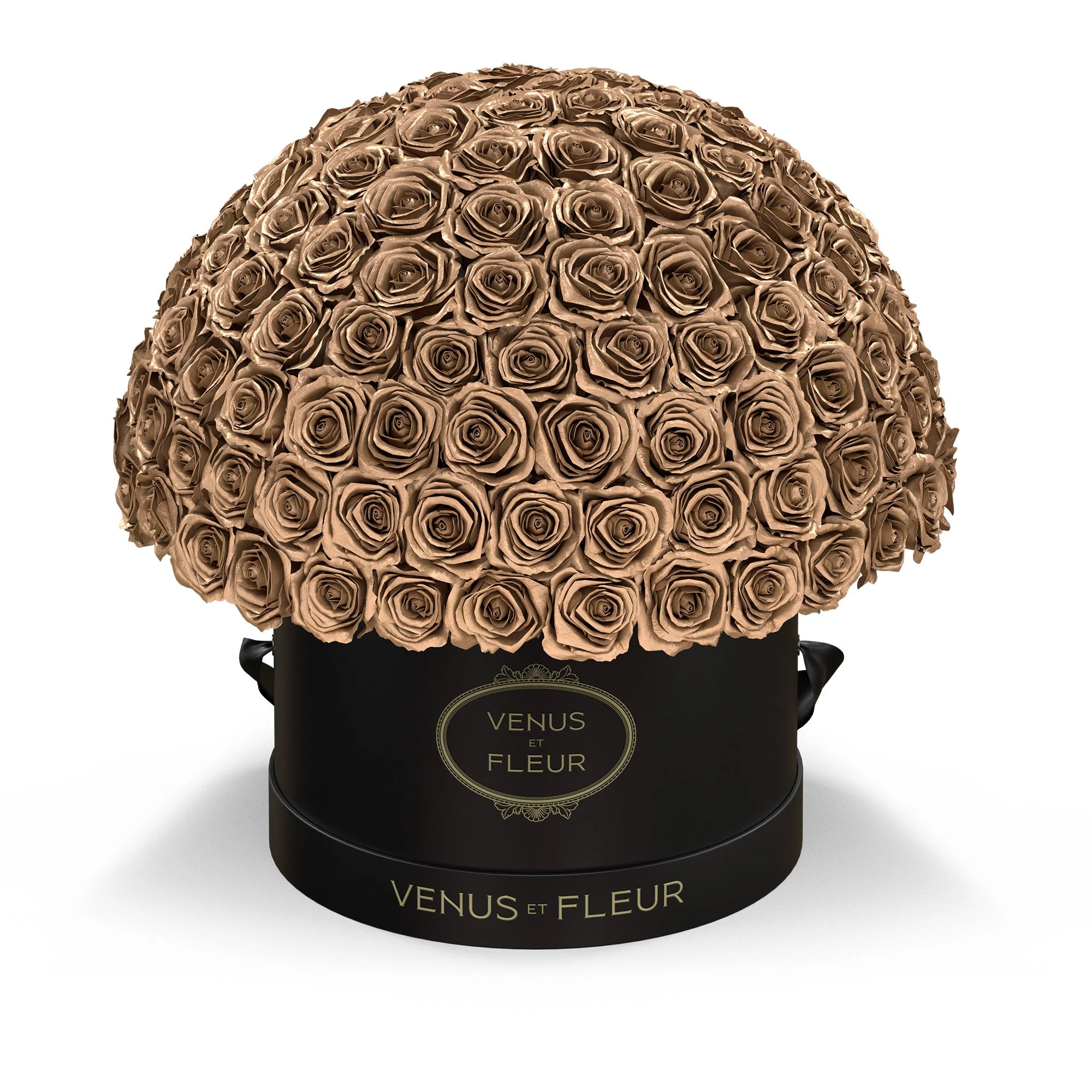 Large Le Plein - Image 11