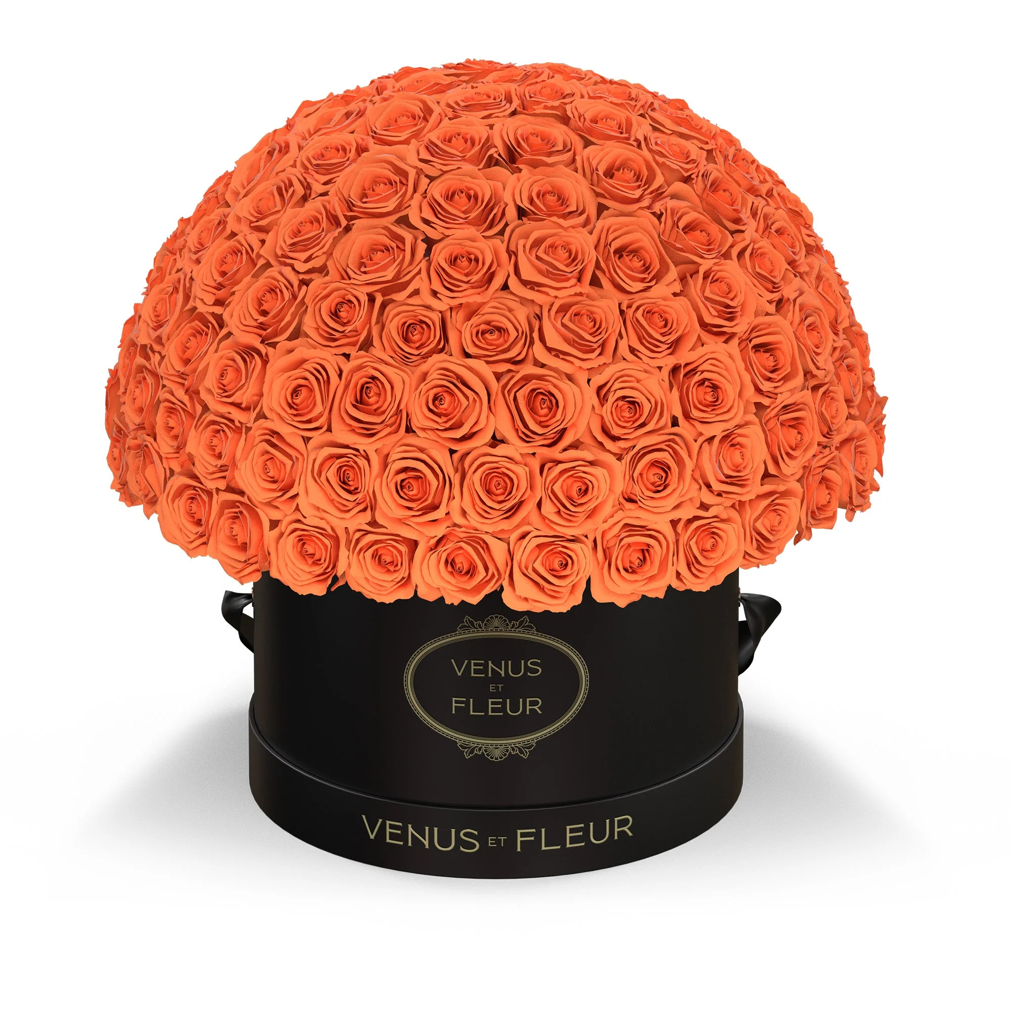 Large Le Plein - Image 13