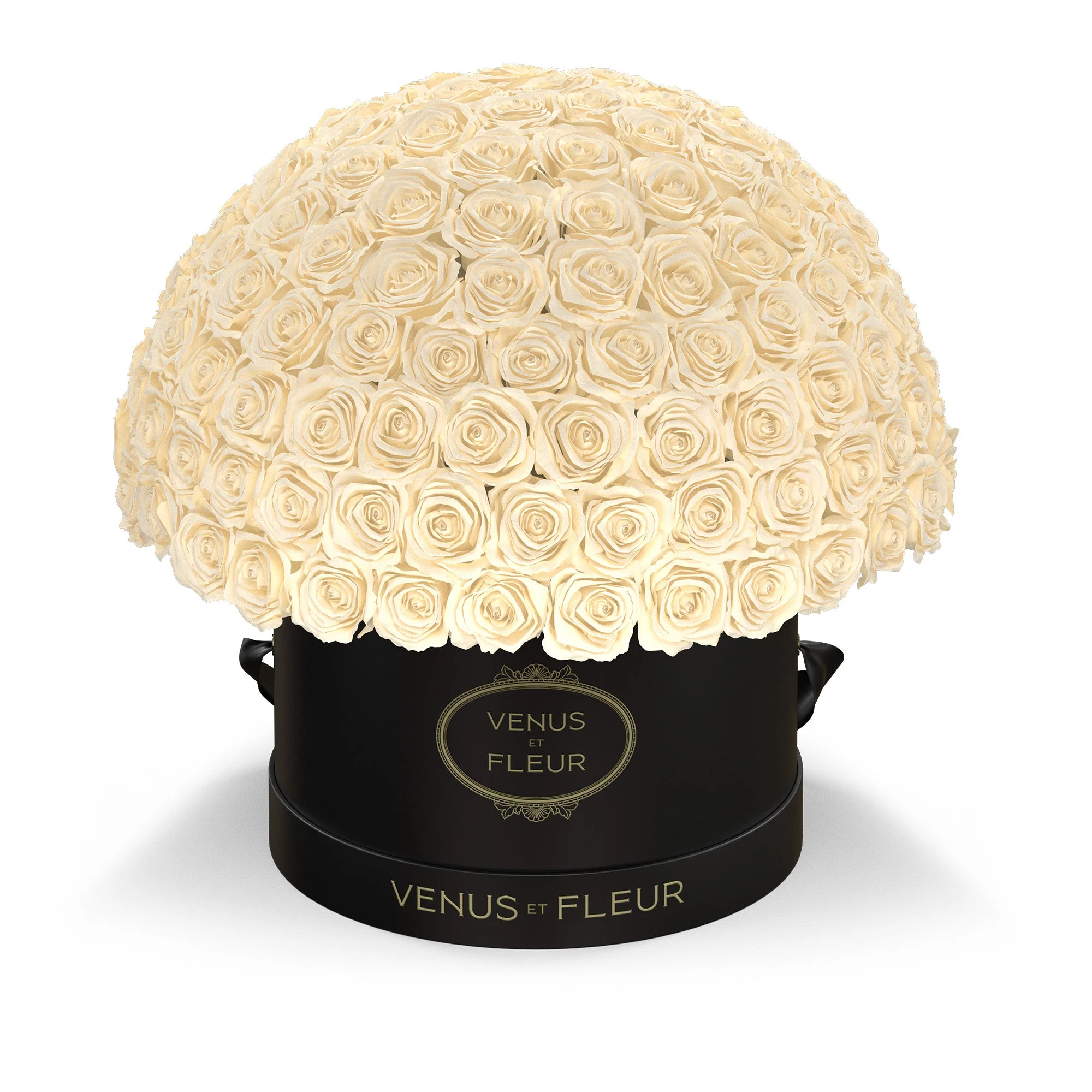 Large Le Plein - Image 14