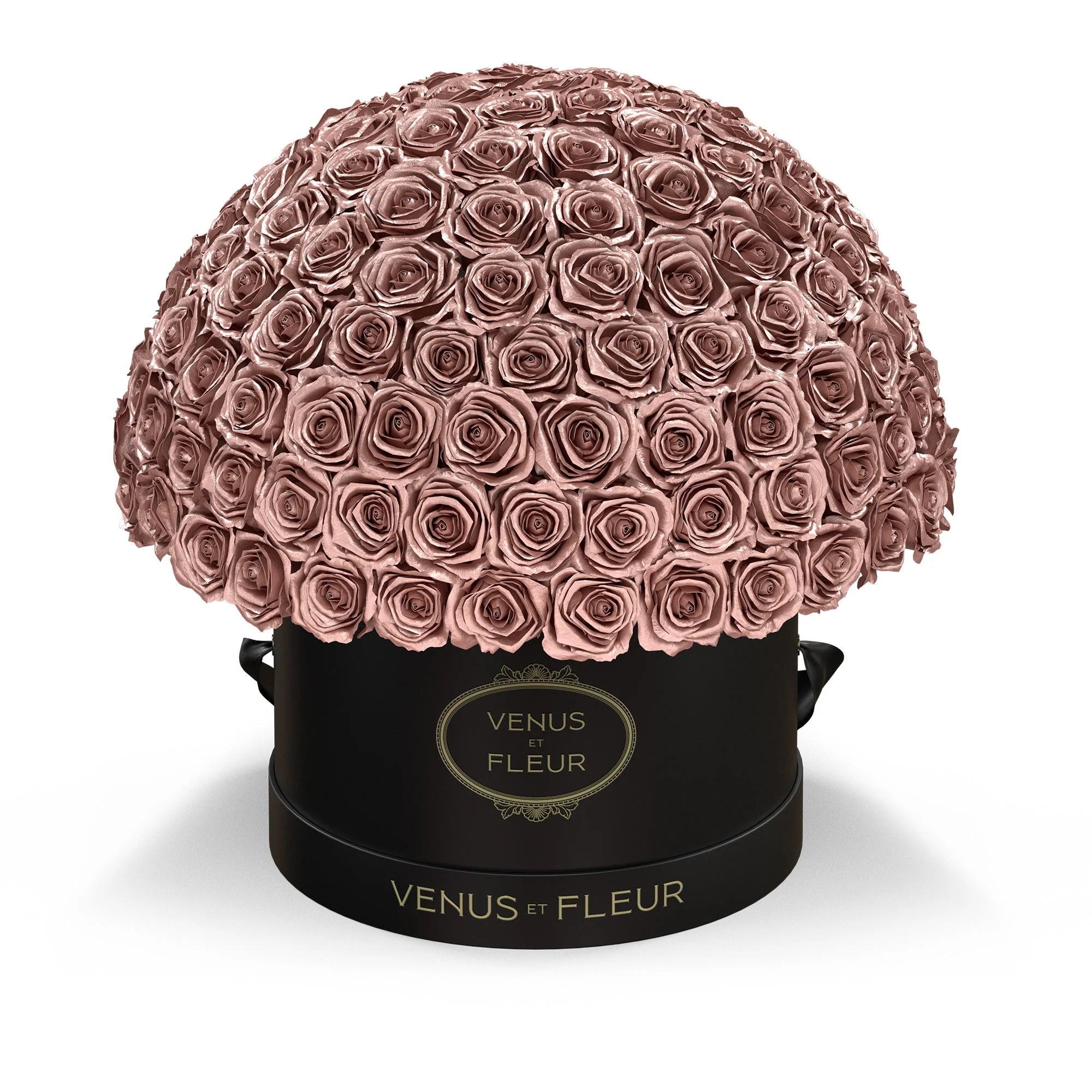 Large Le Plein - Image 16