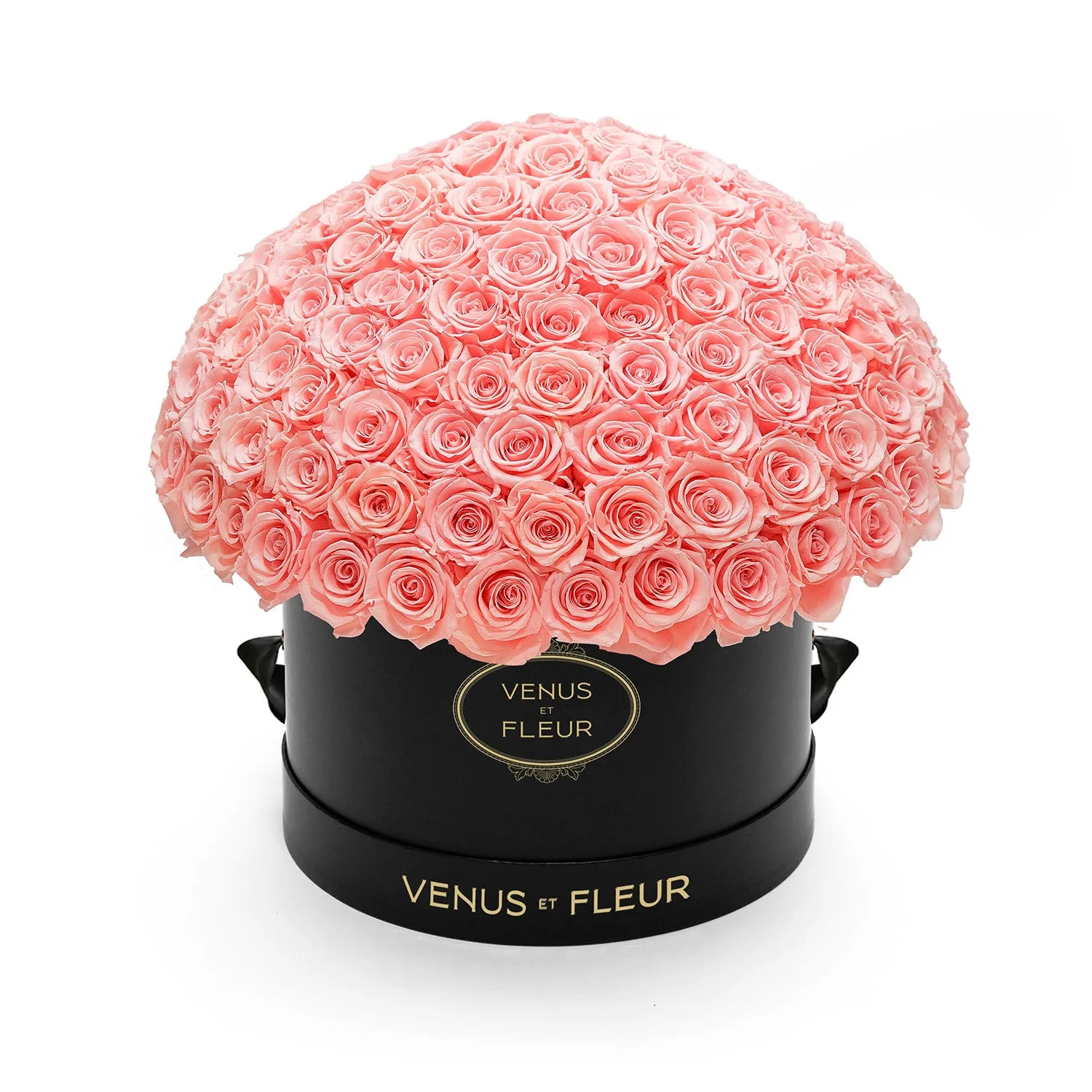 Large Le Plein - Image 17