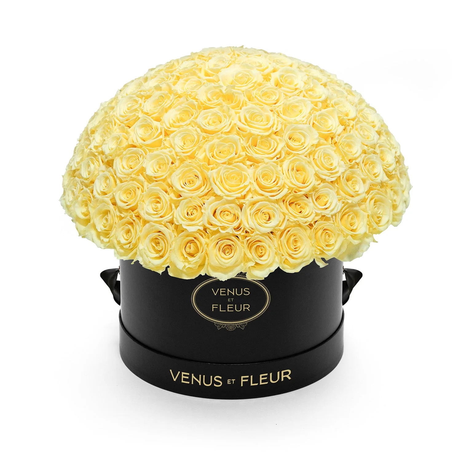 Large Le Plein - Image 18