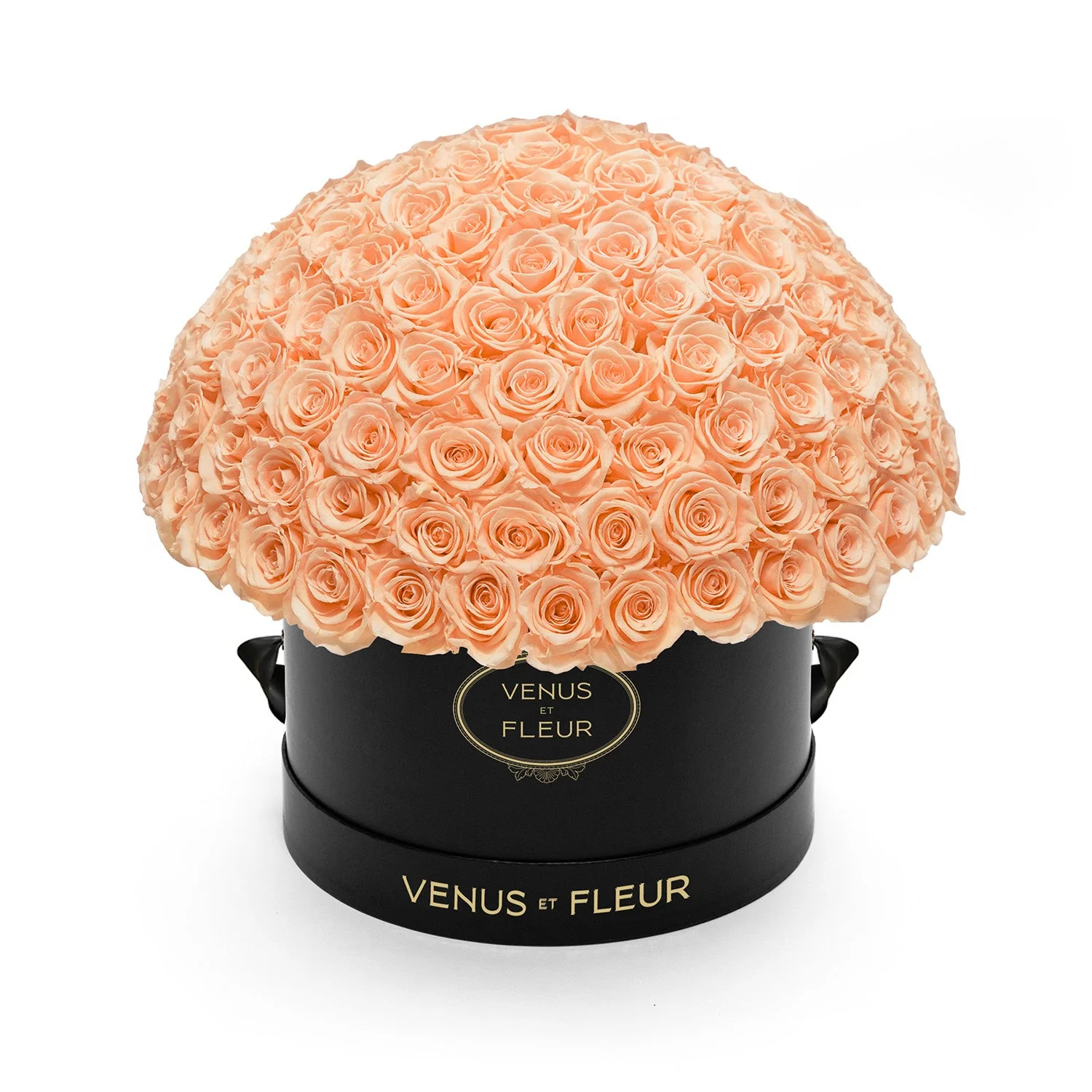 Large Le Plein - Image 19