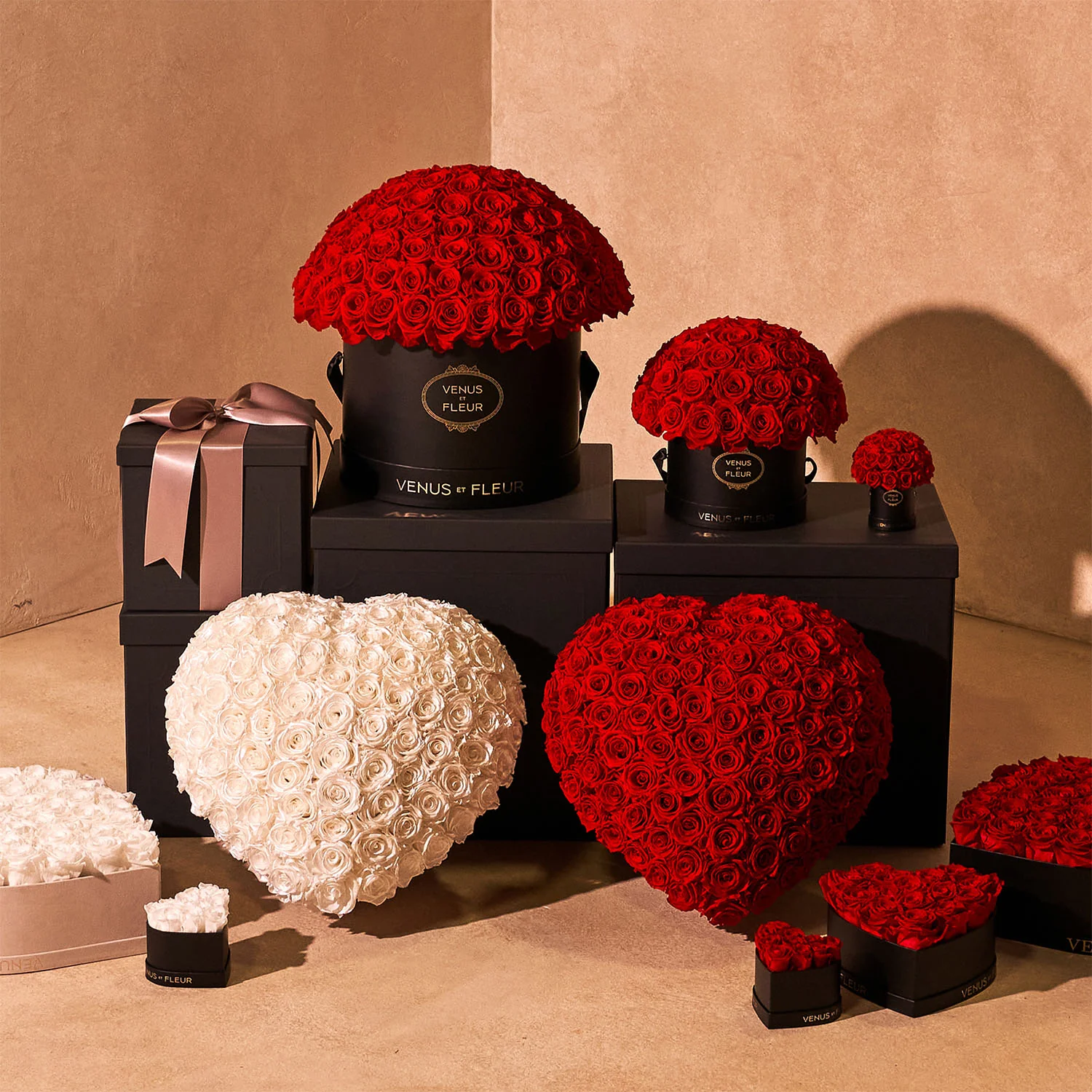 Large Le Plein - Image 22