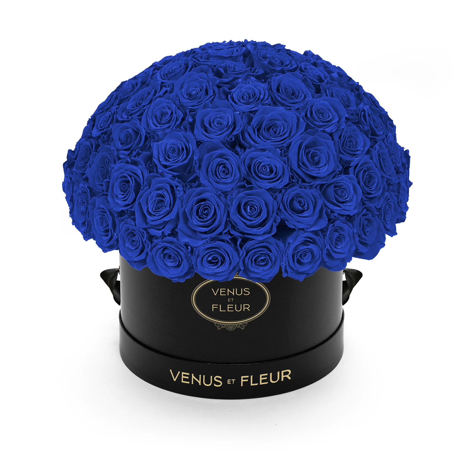 Large Le Plein - Image 25