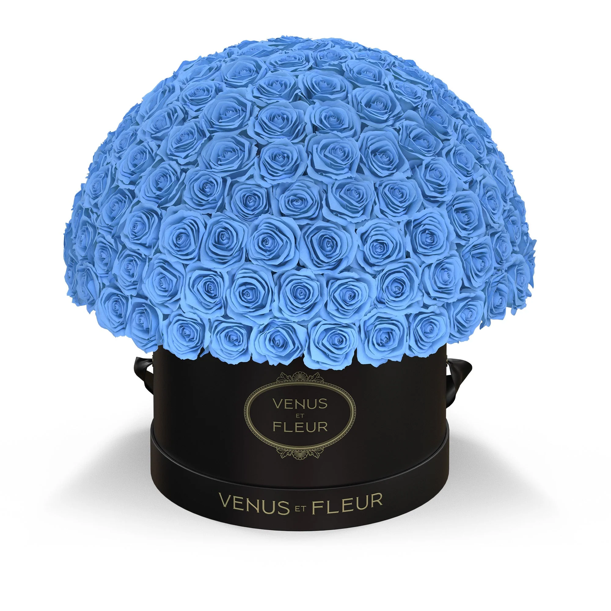 Large Le Plein - Image 4