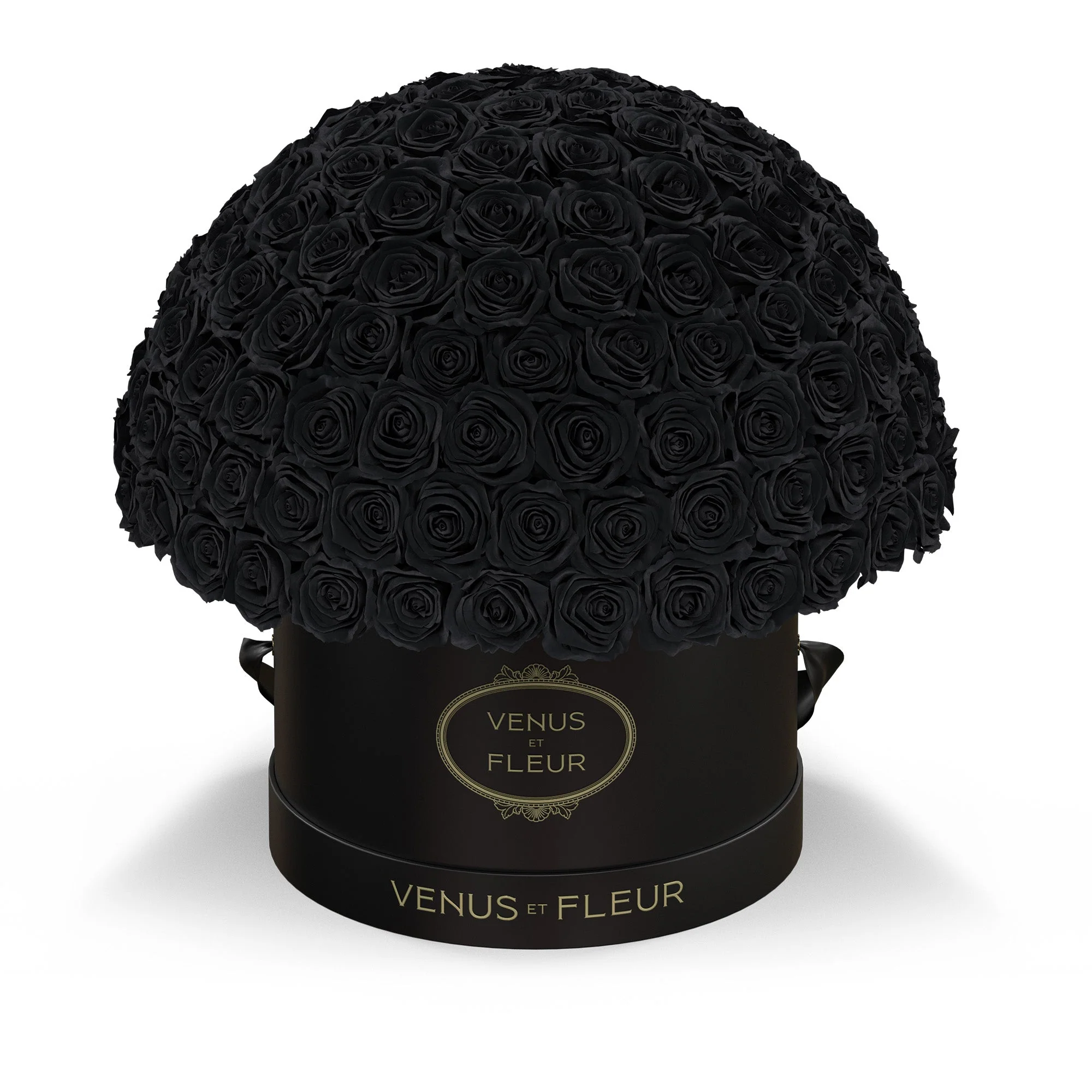 Large Le Plein - Image 5