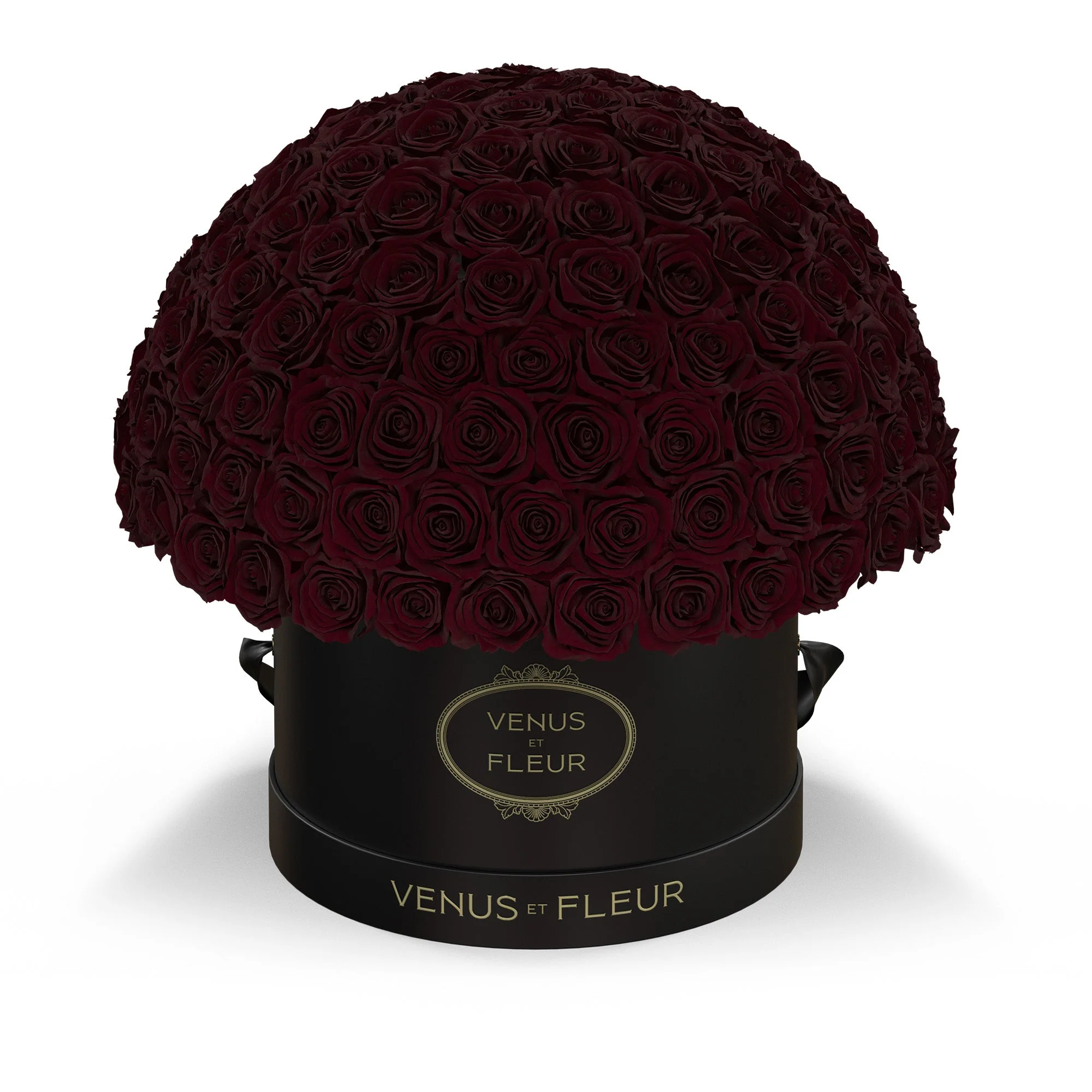 Large Le Plein - Image 7