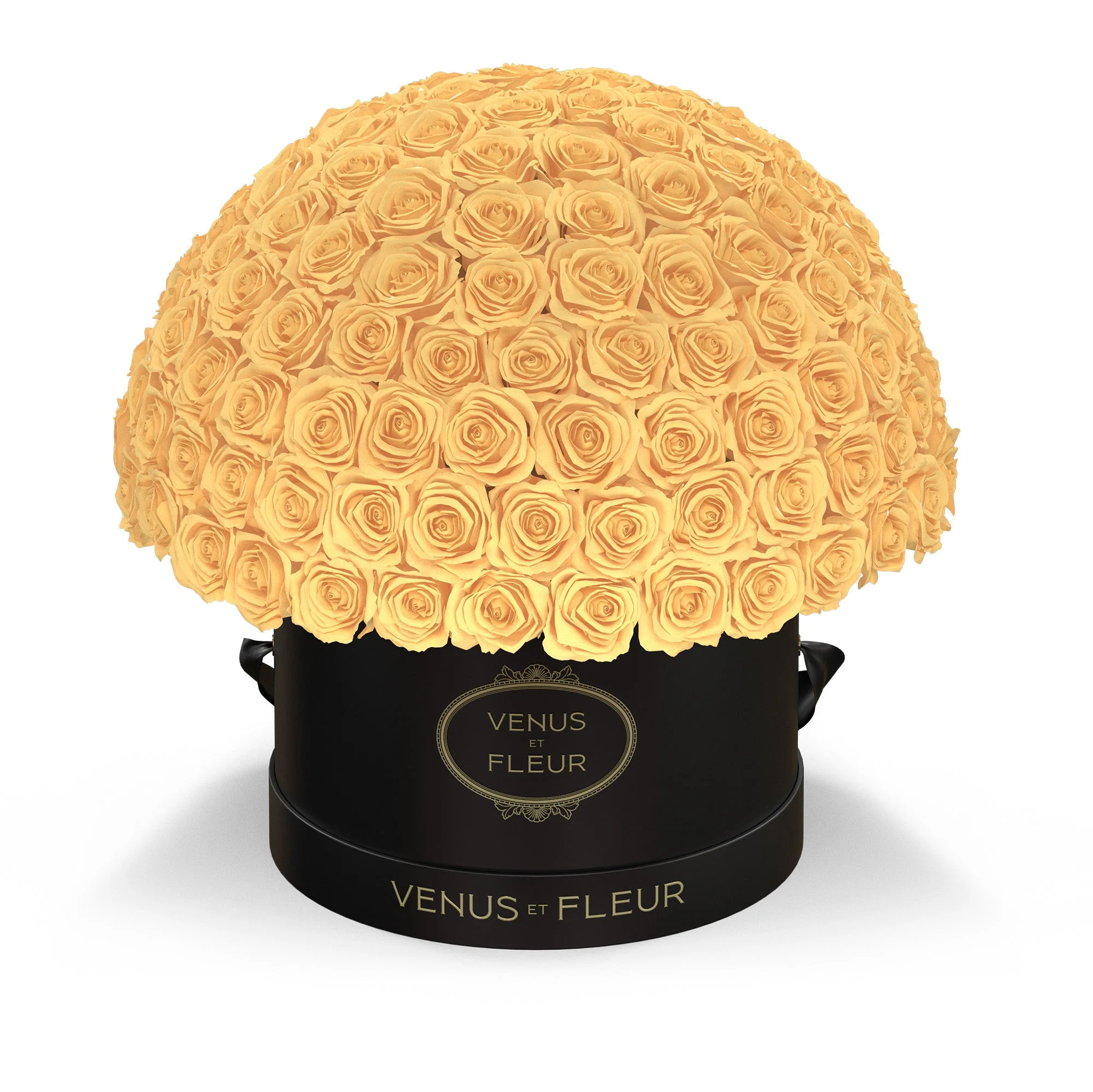 Large Le Plein - Image 8