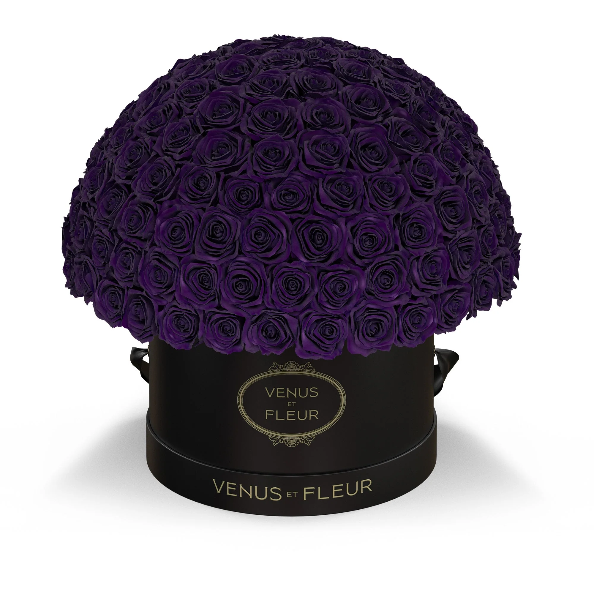 Large Le Plein - Image 9