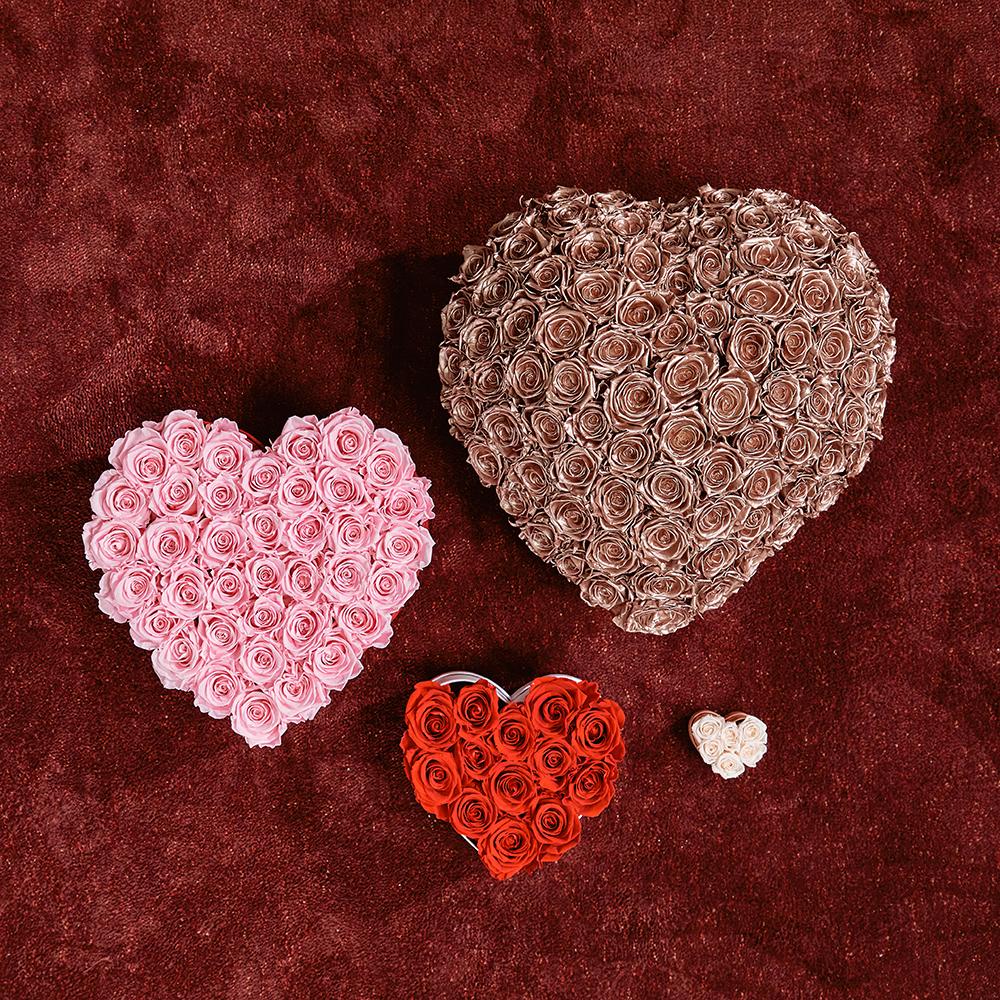 Le Plein Heart - Image 9