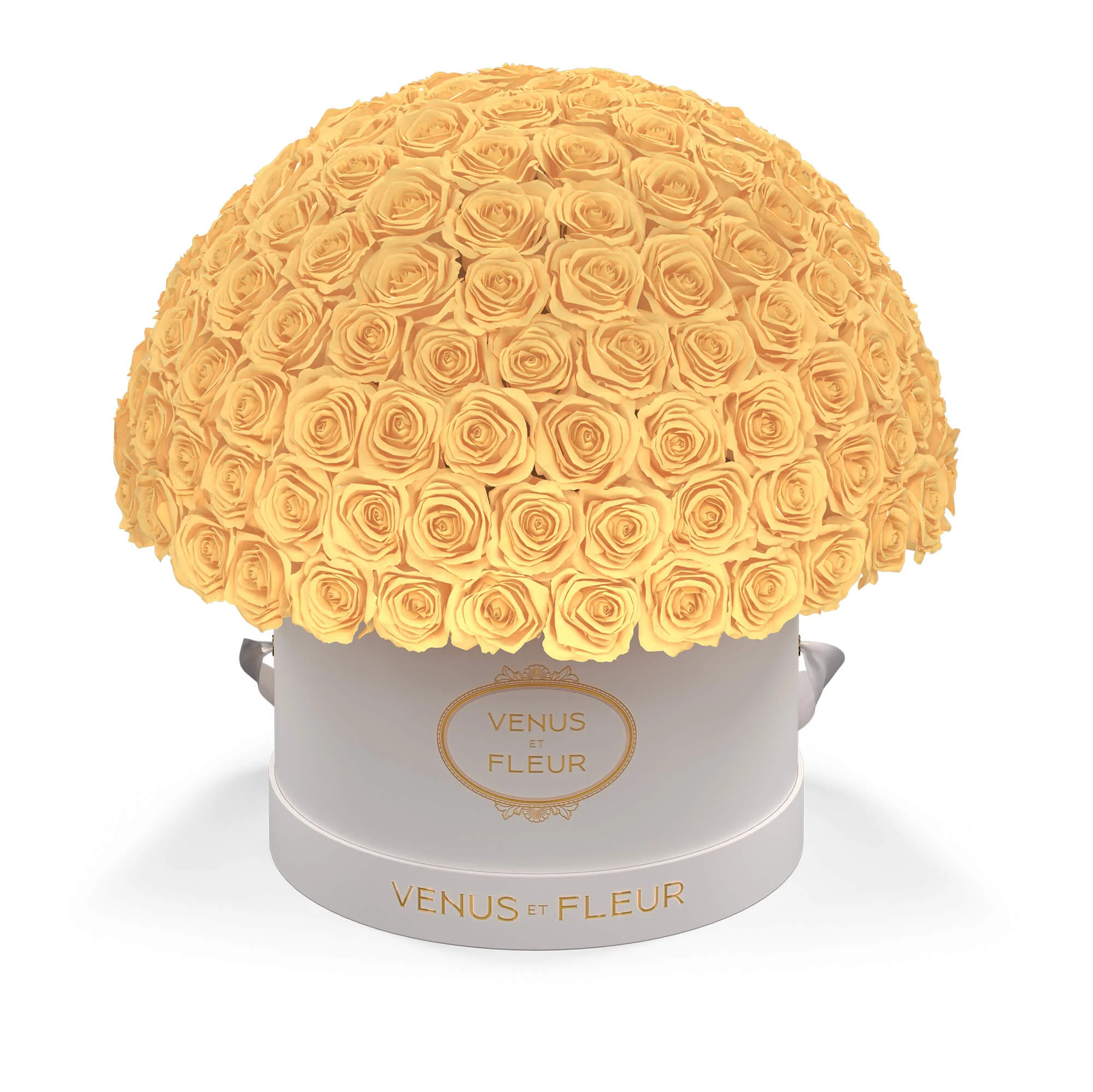 Large Le Plein - Image 10