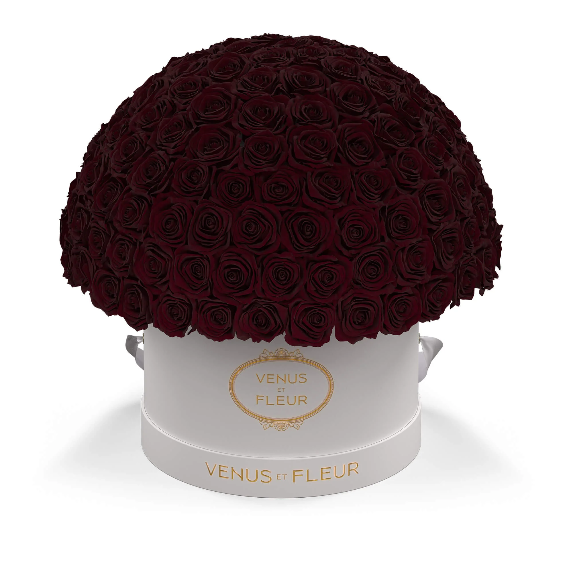 Large Le Plein - Image 11