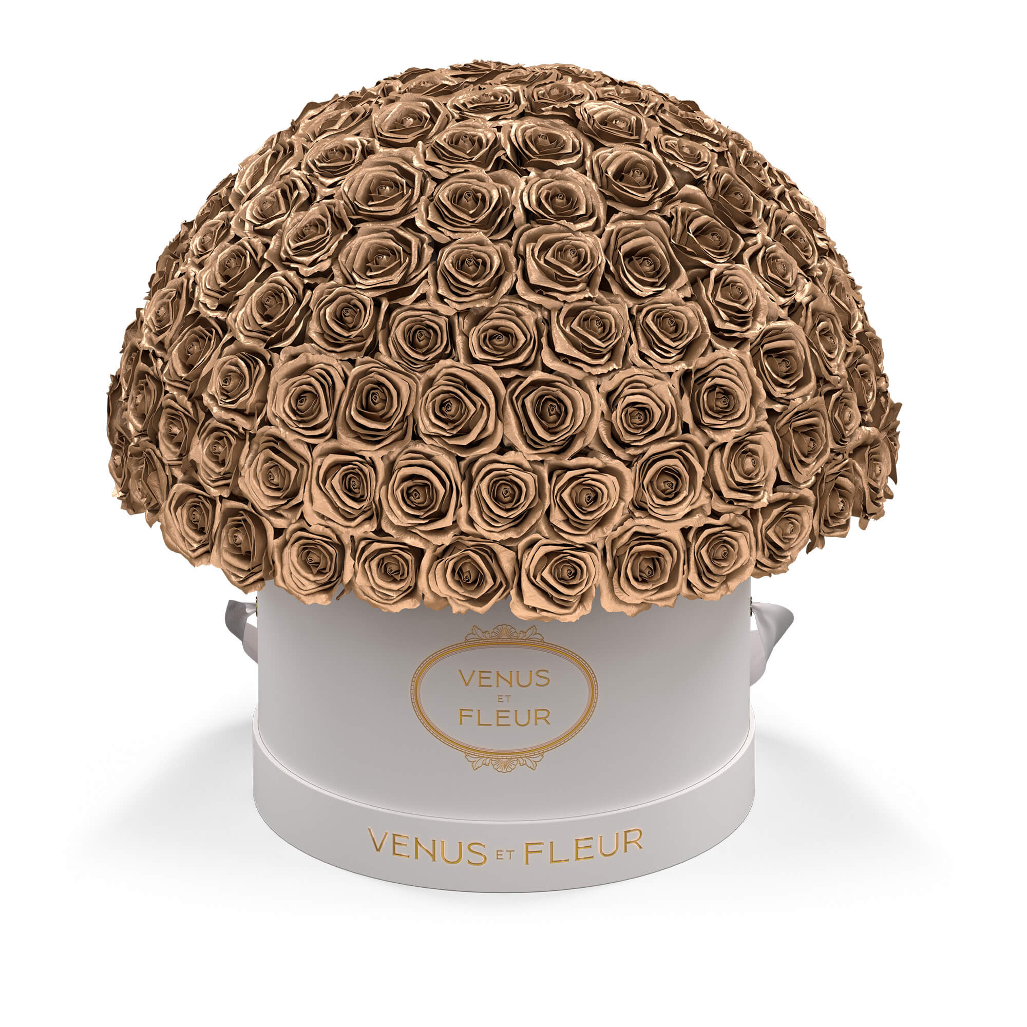 Large Le Plein - Image 12