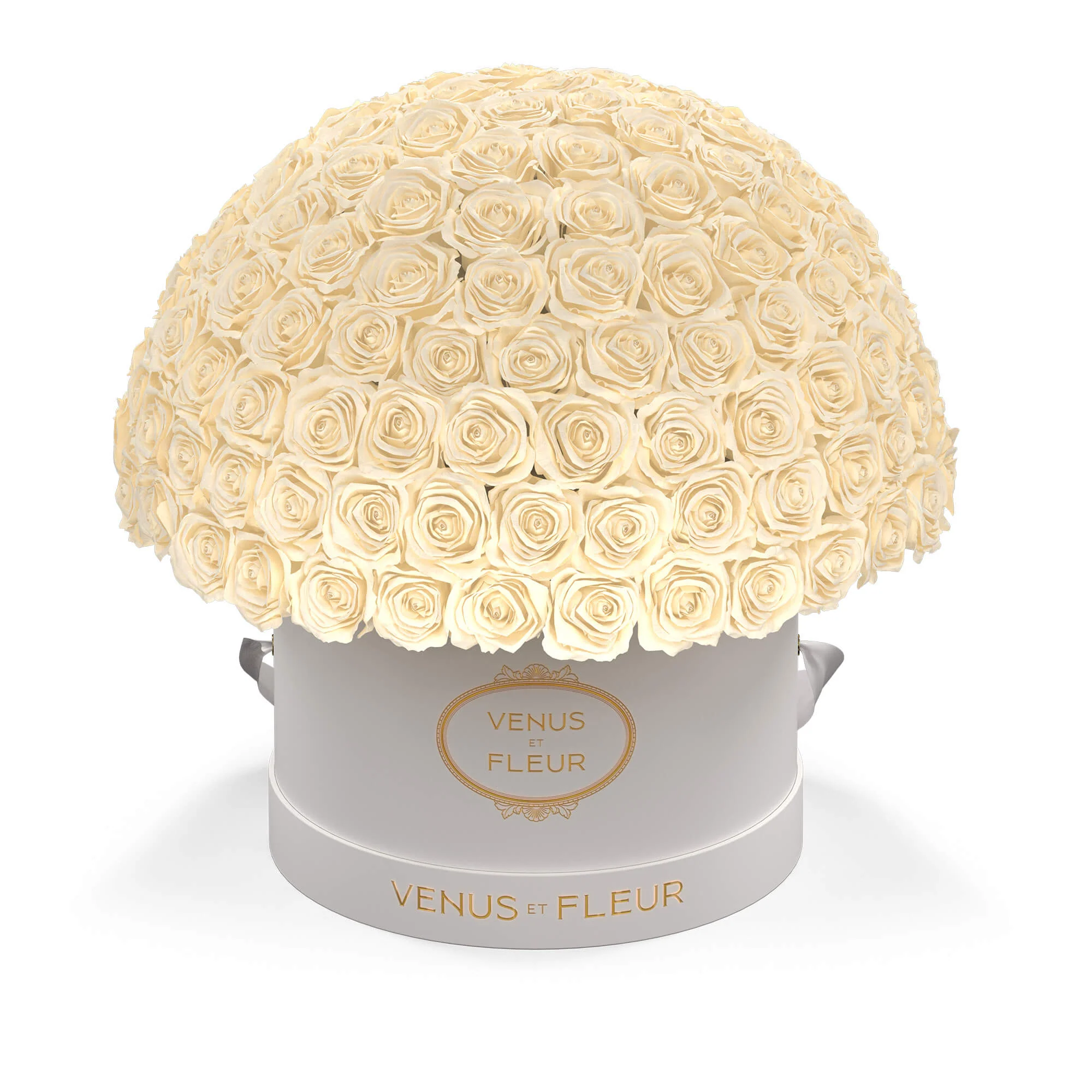 Large Le Plein - Image 13