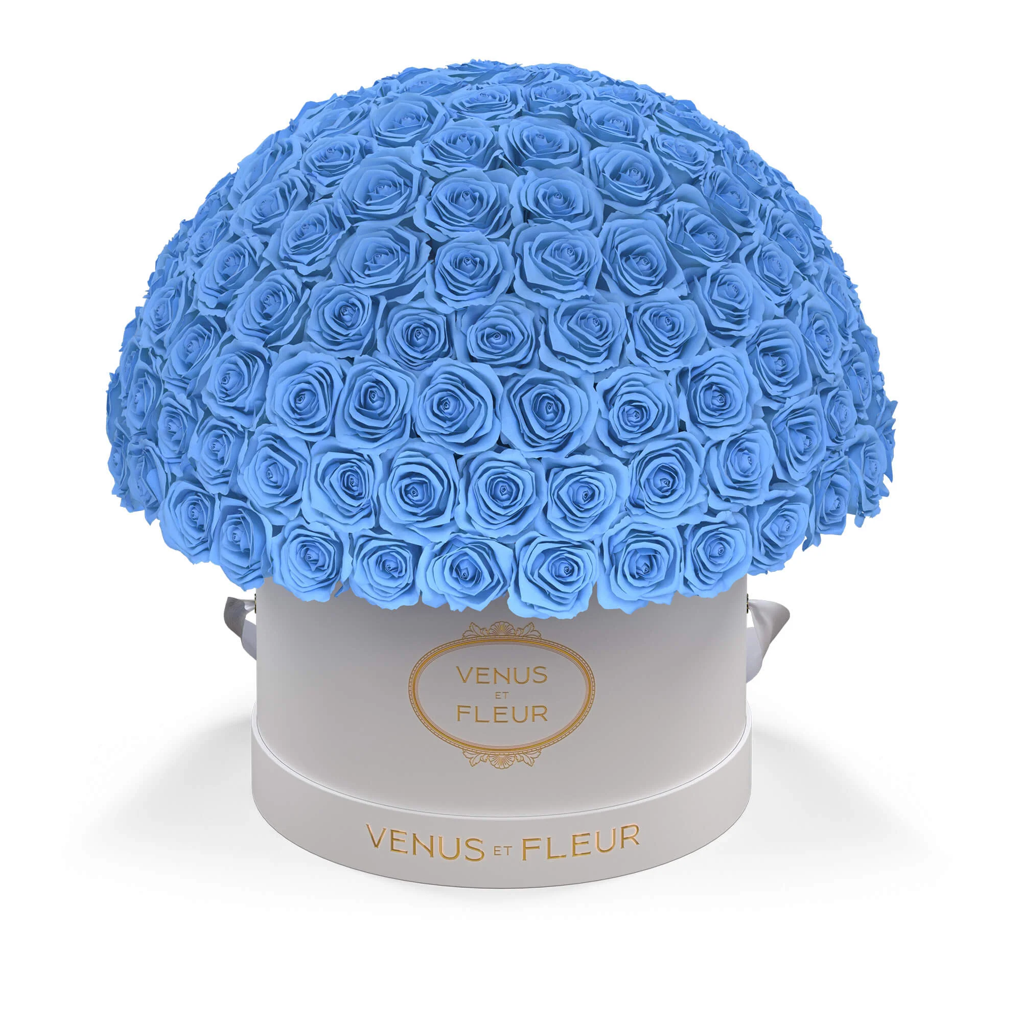 Large Le Plein - Image 14