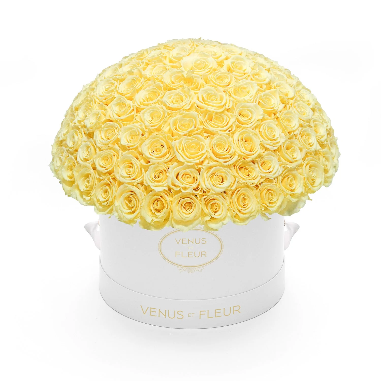 Large Le Plein - Image 15