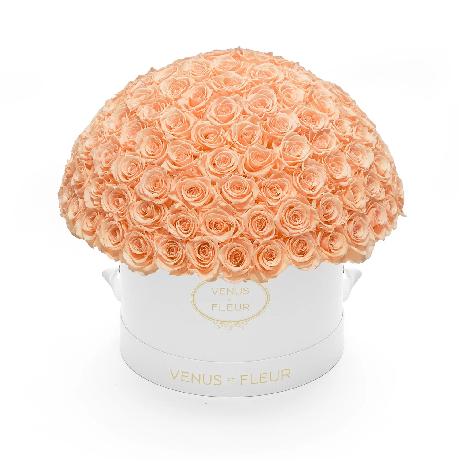 Large Le Plein - Image 16