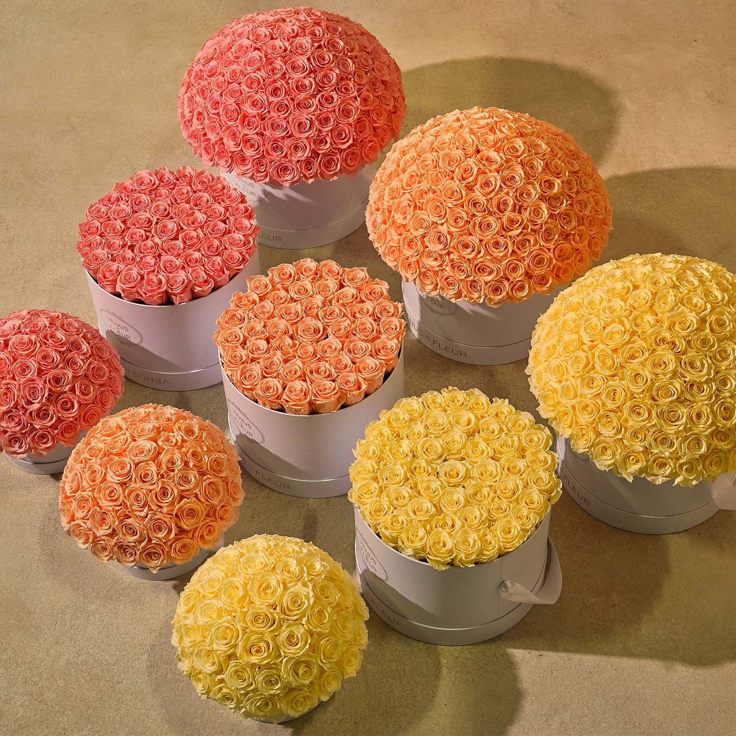 Large Le Plein - Image 24