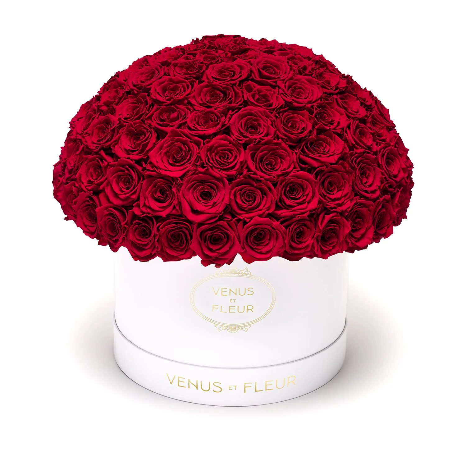 Large Le Plein - Image 26