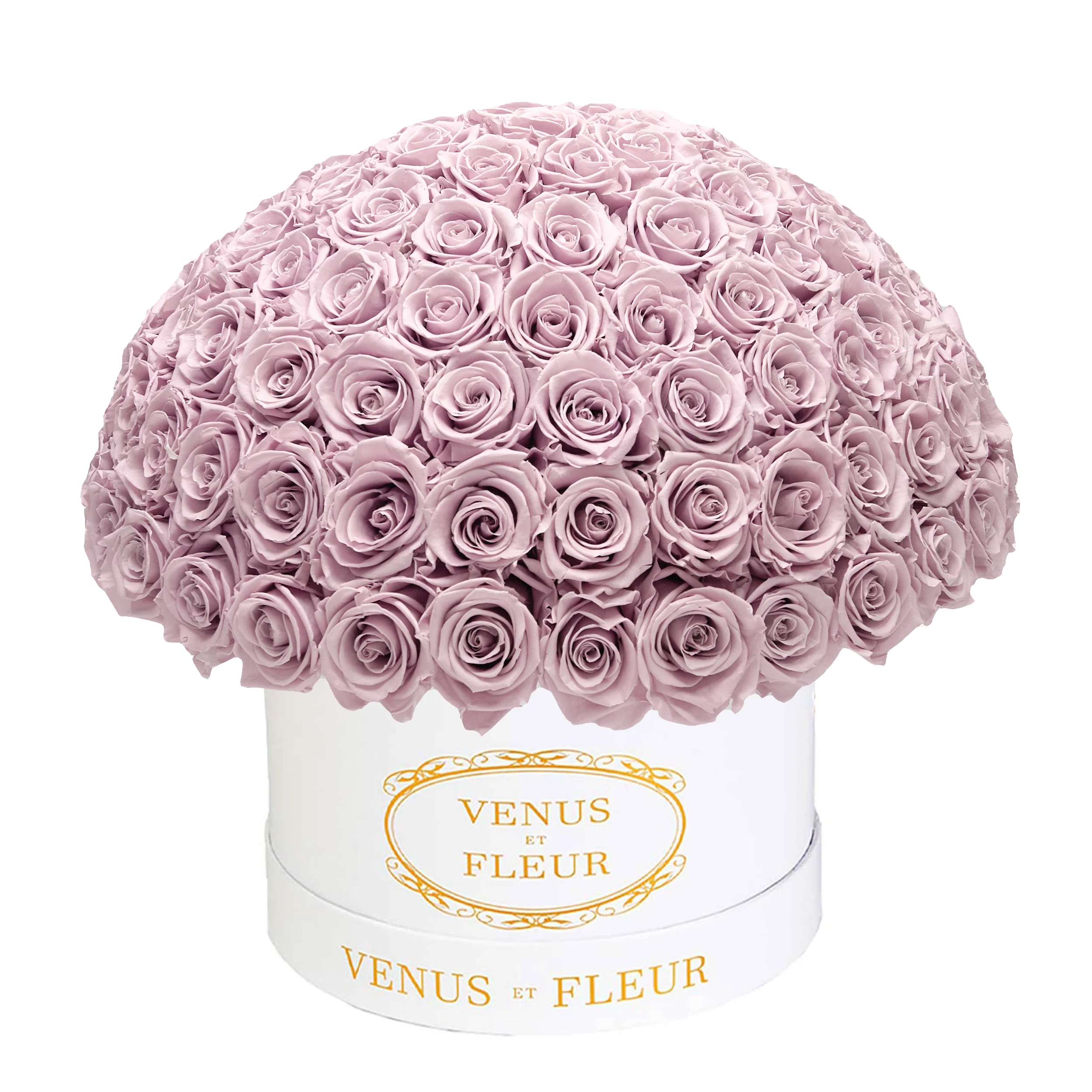 Large Le Plein - Image 27