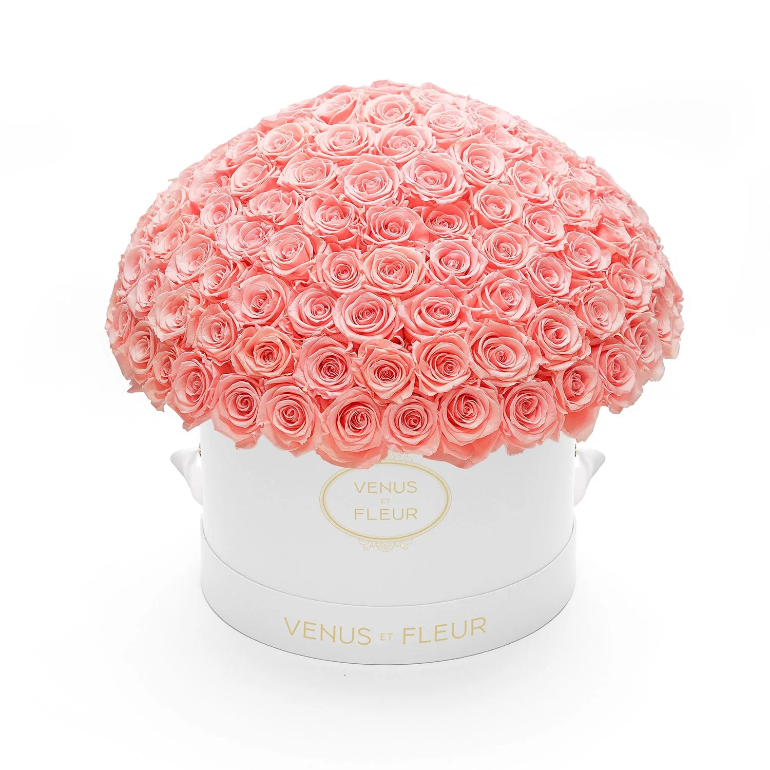 Large Le Plein - Image 3