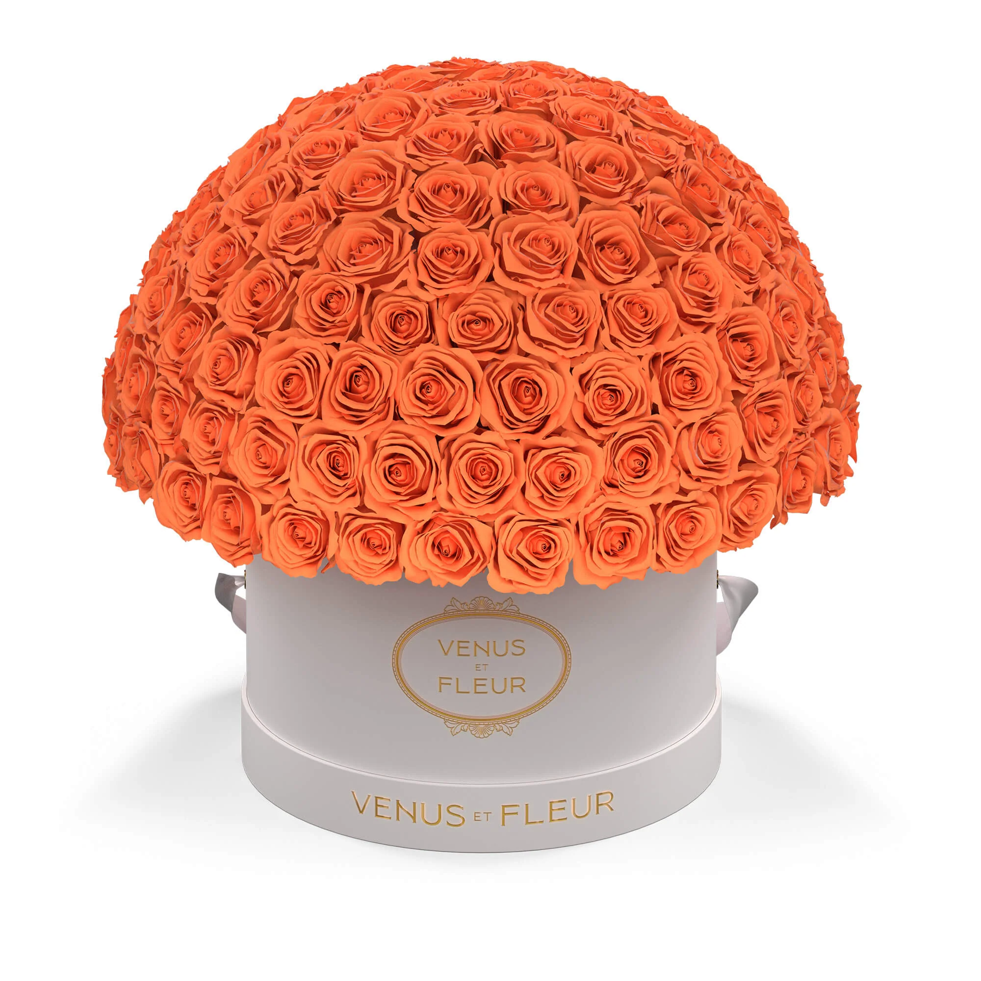 Large Le Plein - Image 6