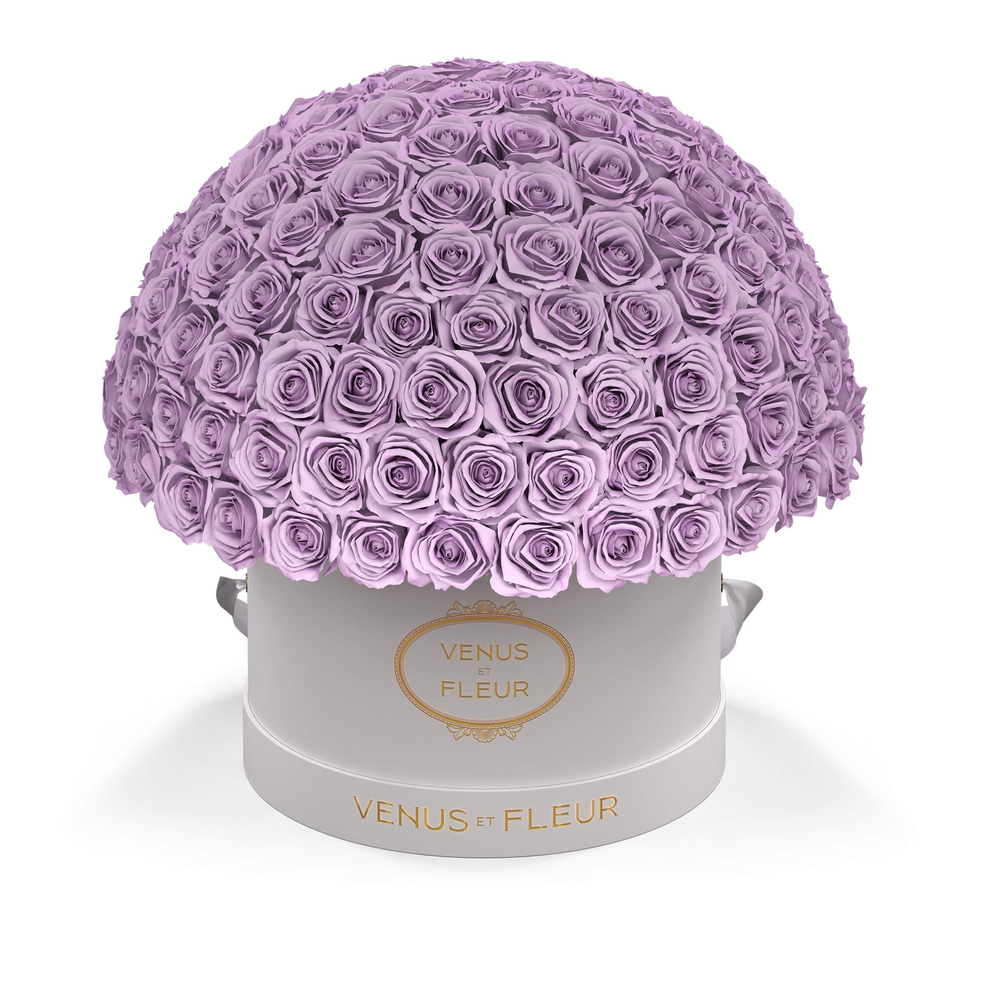 Large Le Plein - Image 7