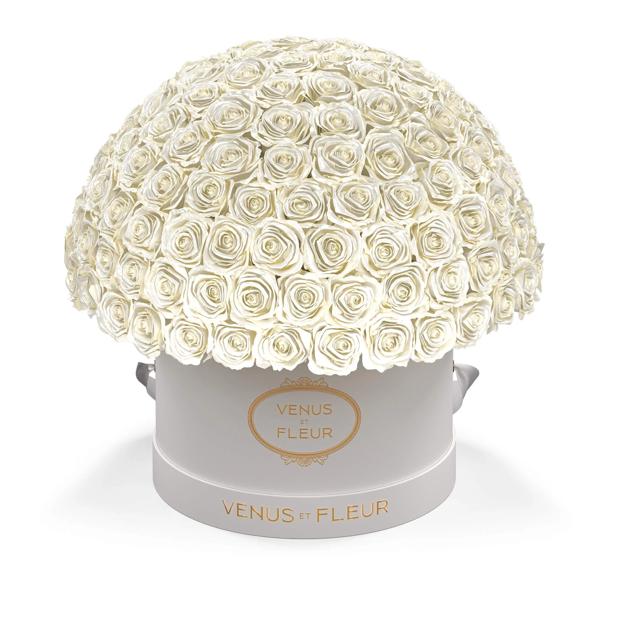 Large Le Plein - Image 8