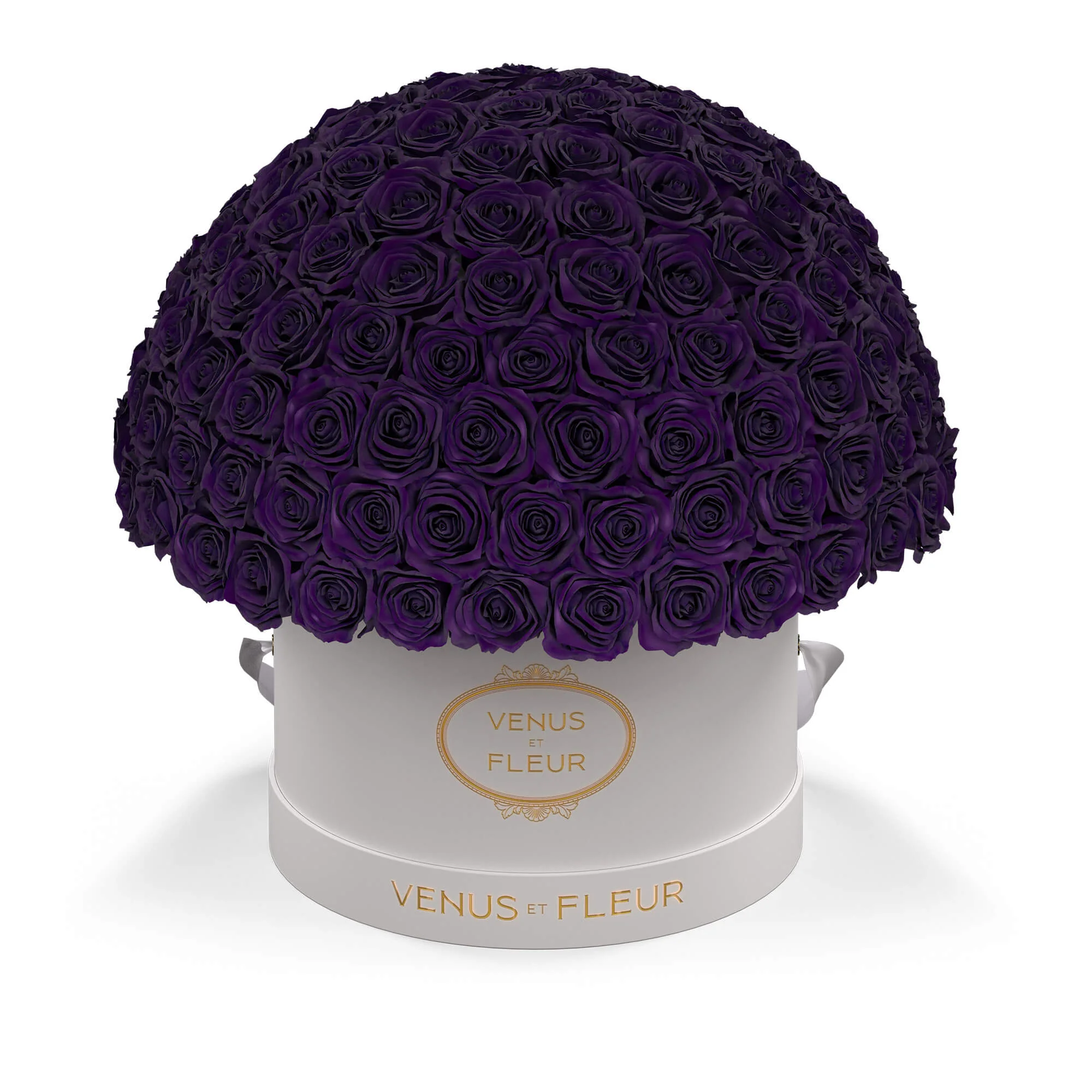 Large Le Plein - Image 9