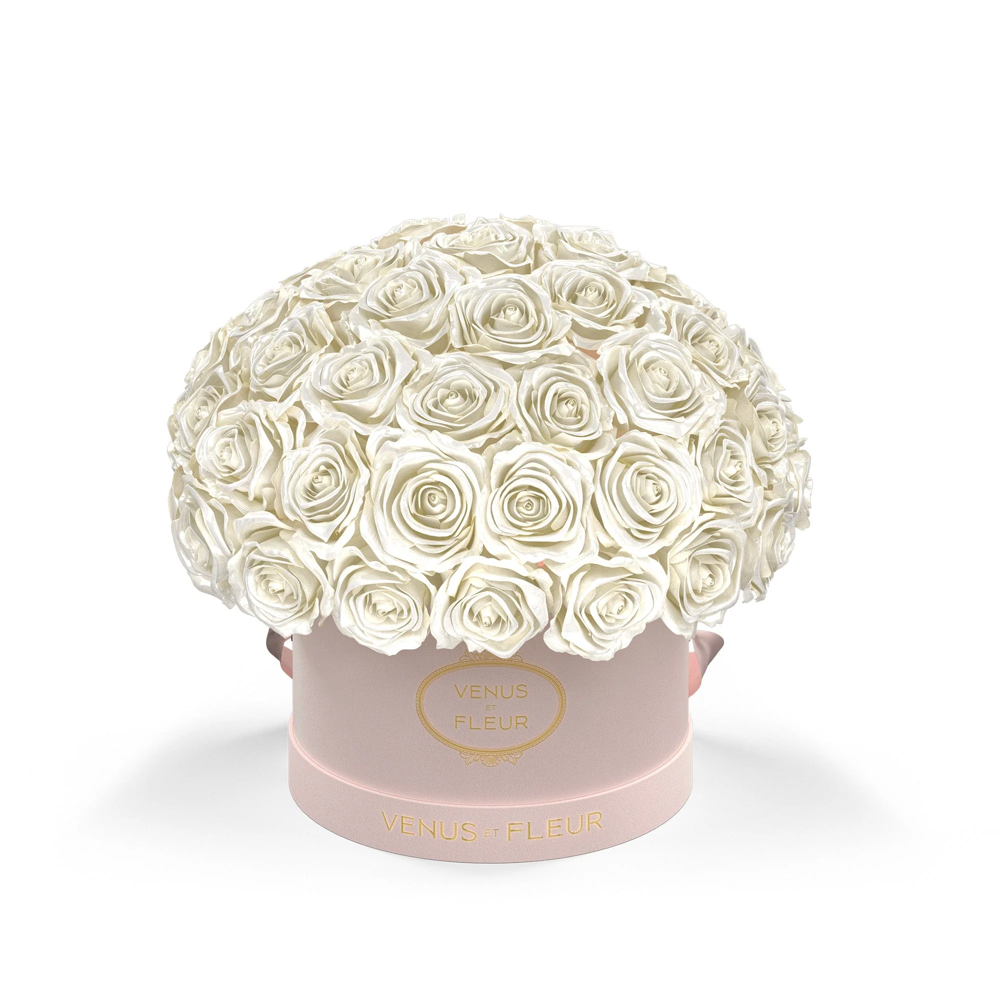 Small Le Plein - Image 3