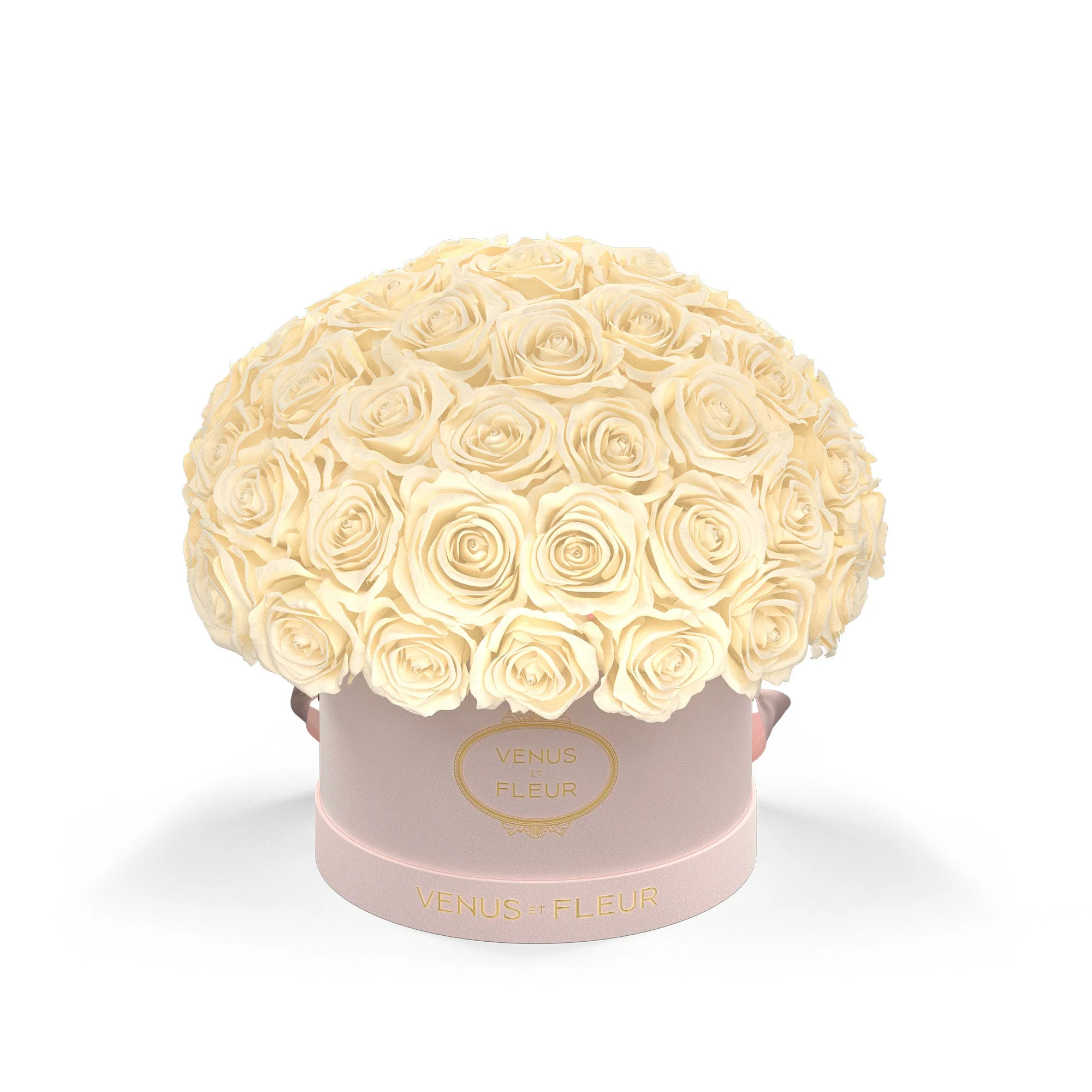 Small Le Plein - Image 4