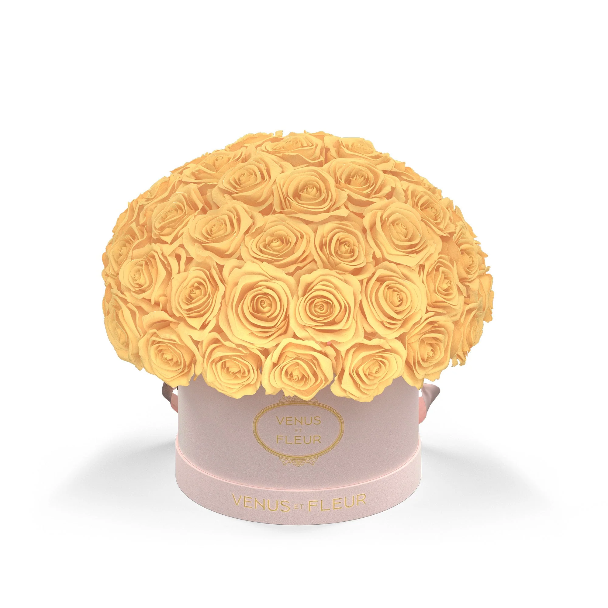 Small Le Plein - Image 5