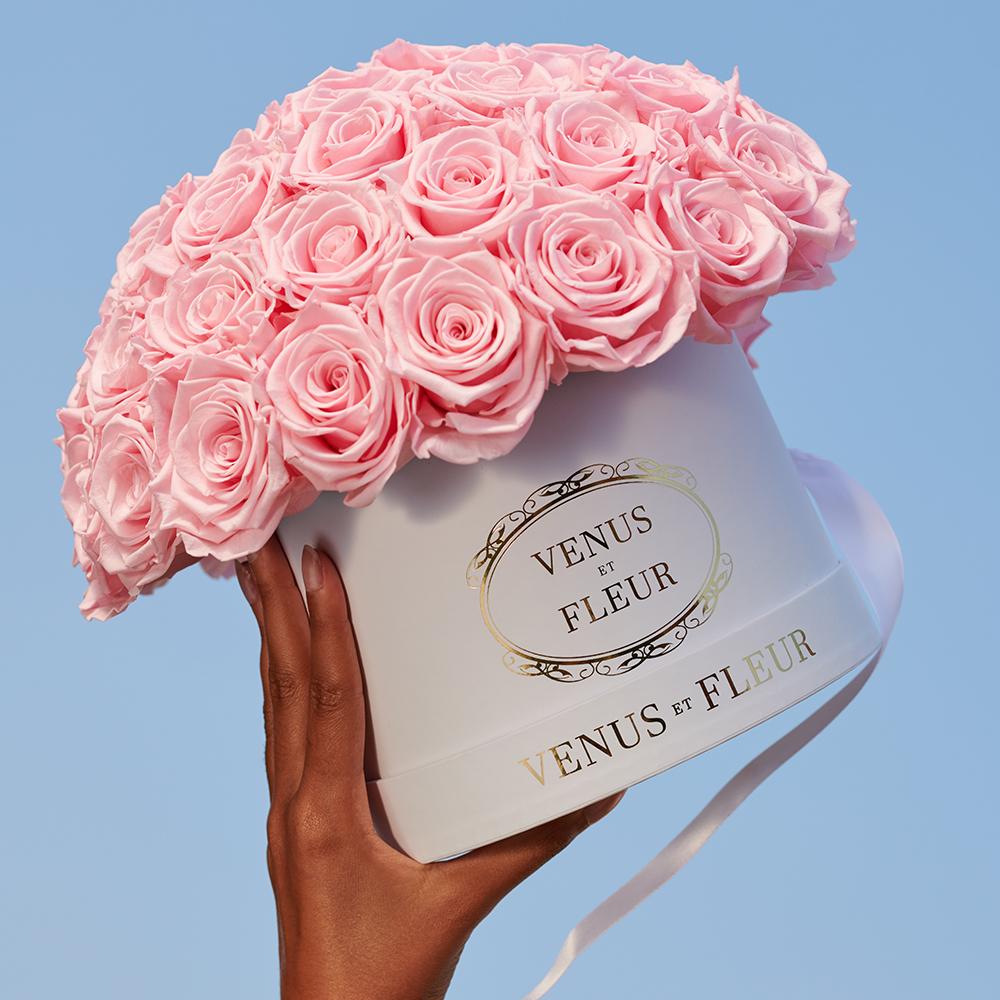 Small Le Plein - Image 7