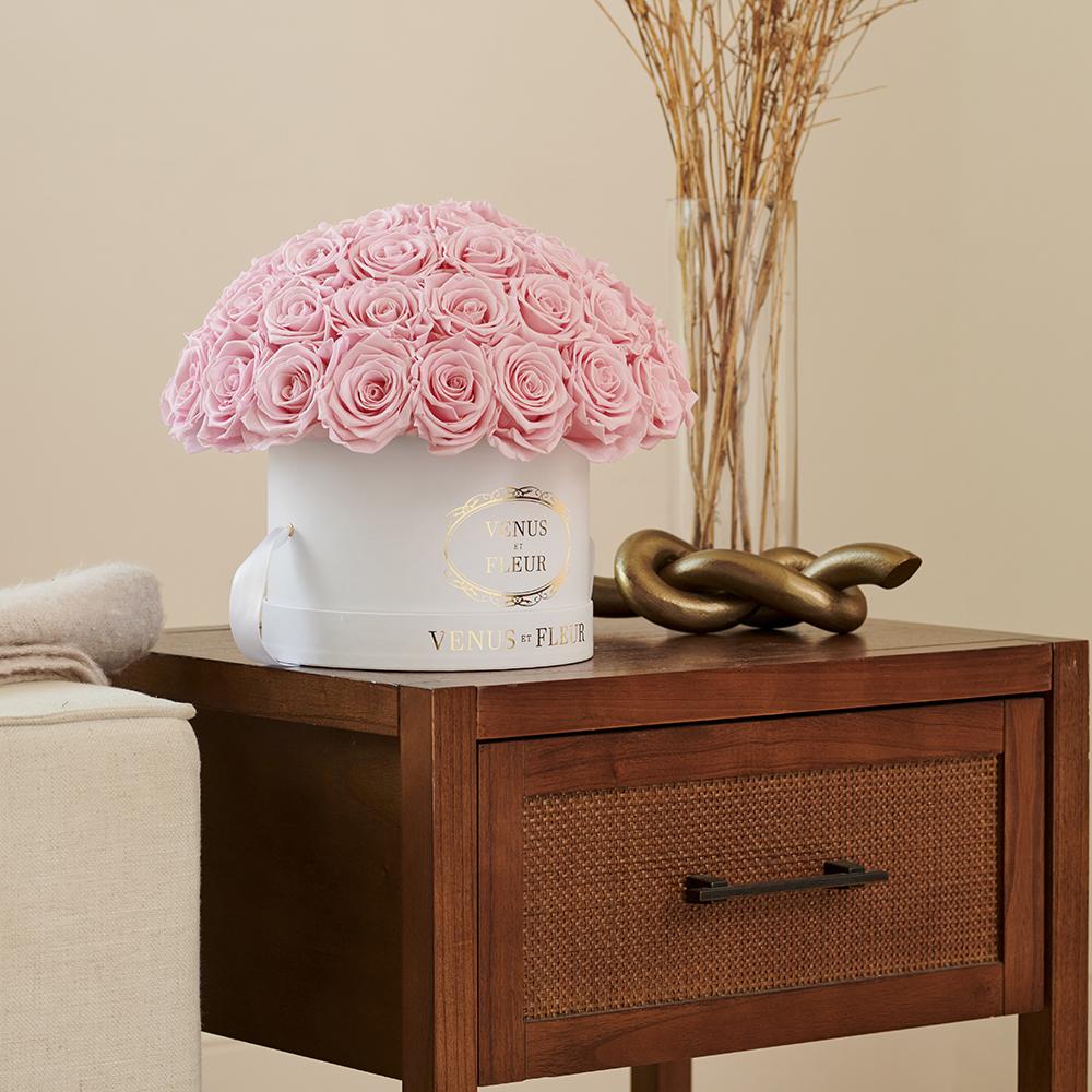 Small Le Plein - Image 11