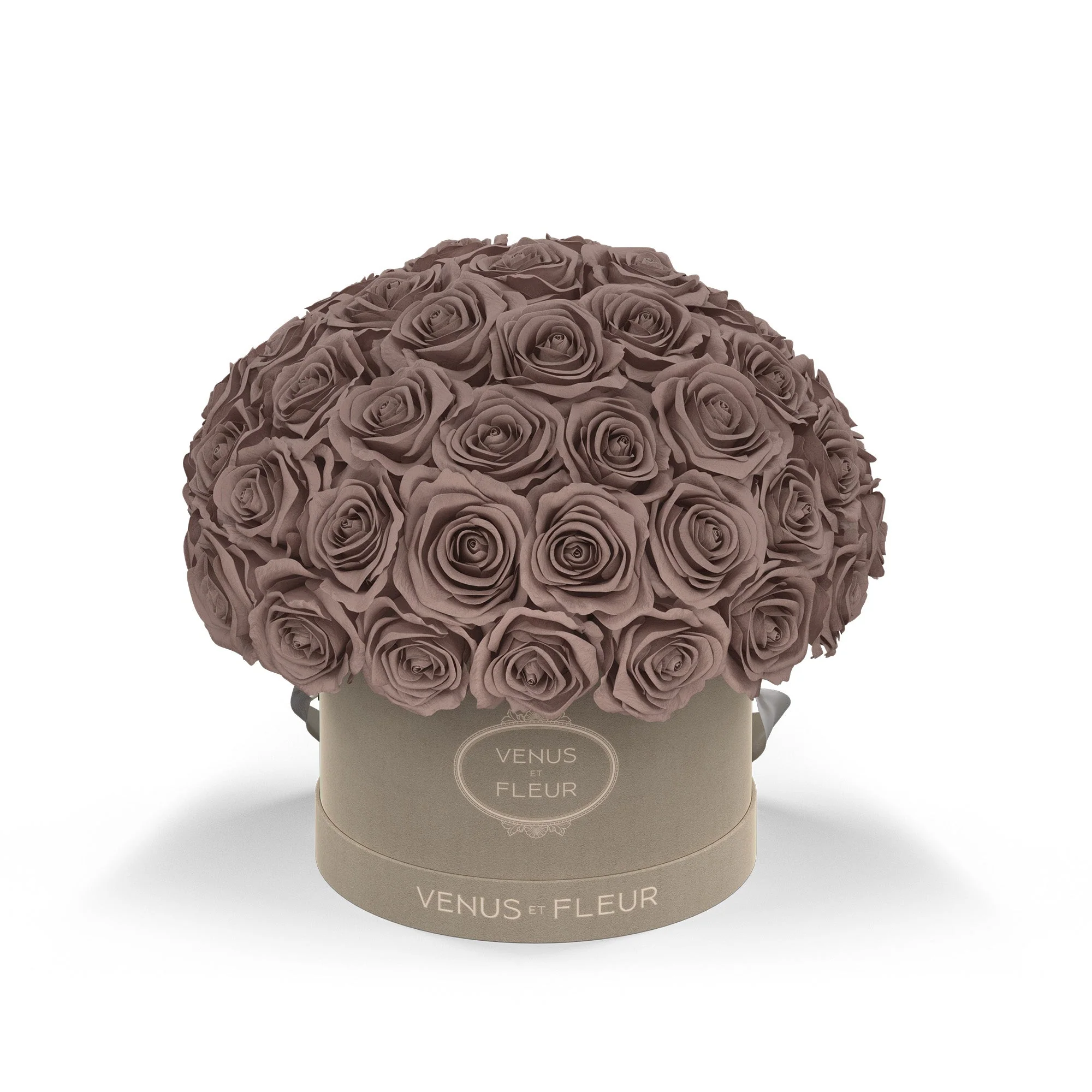 Small Le Plein - Image 3