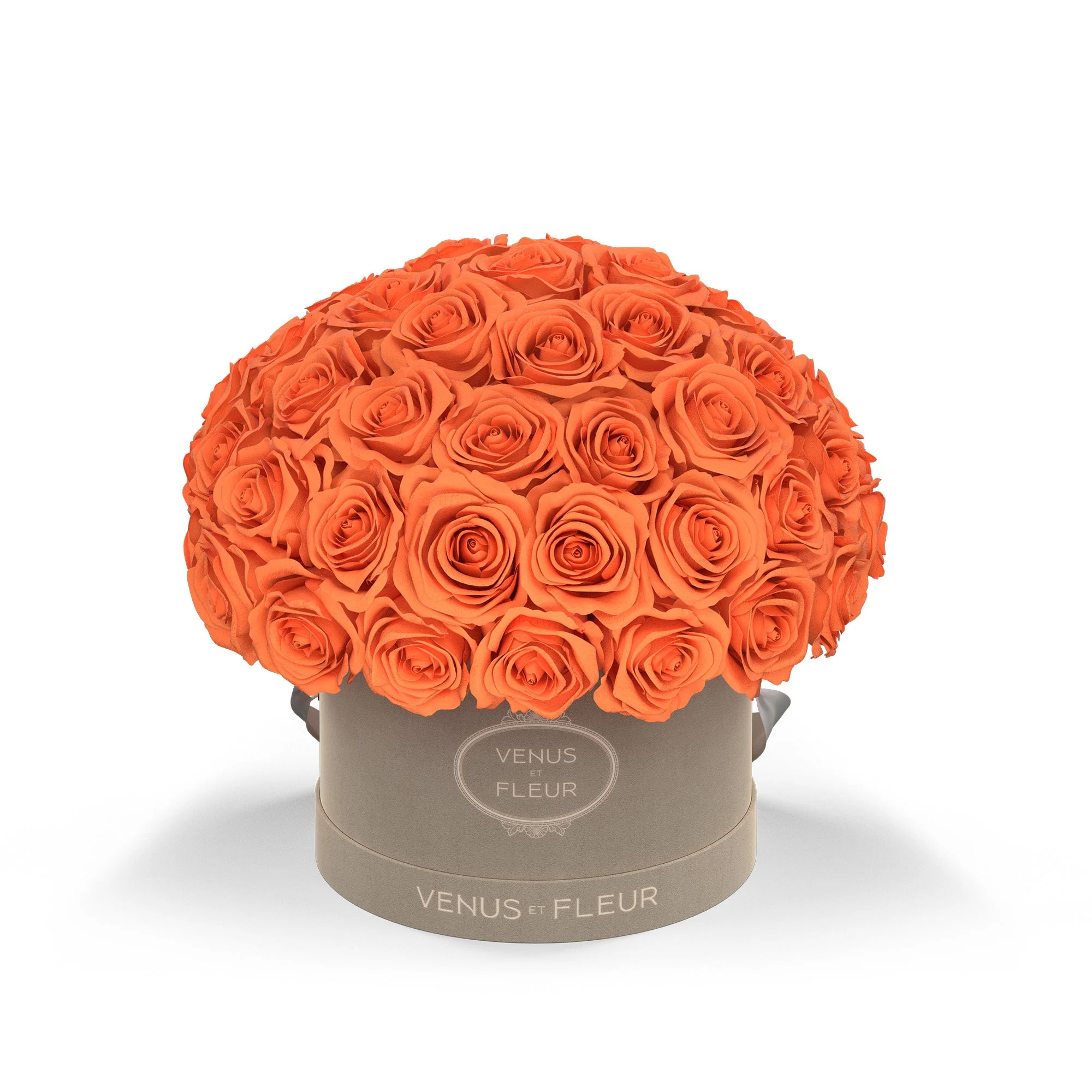 Small Le Plein - Image 6