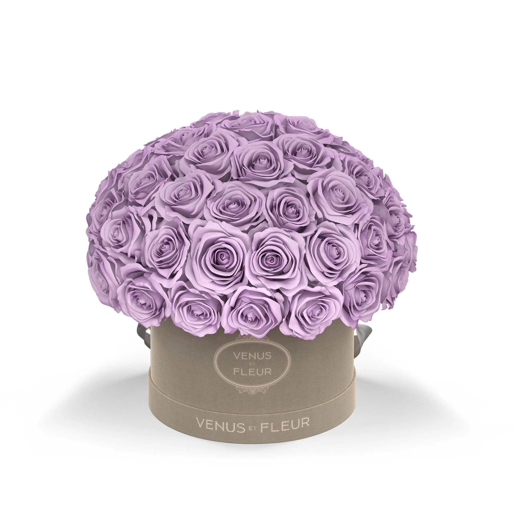 Small Le Plein - Image 7