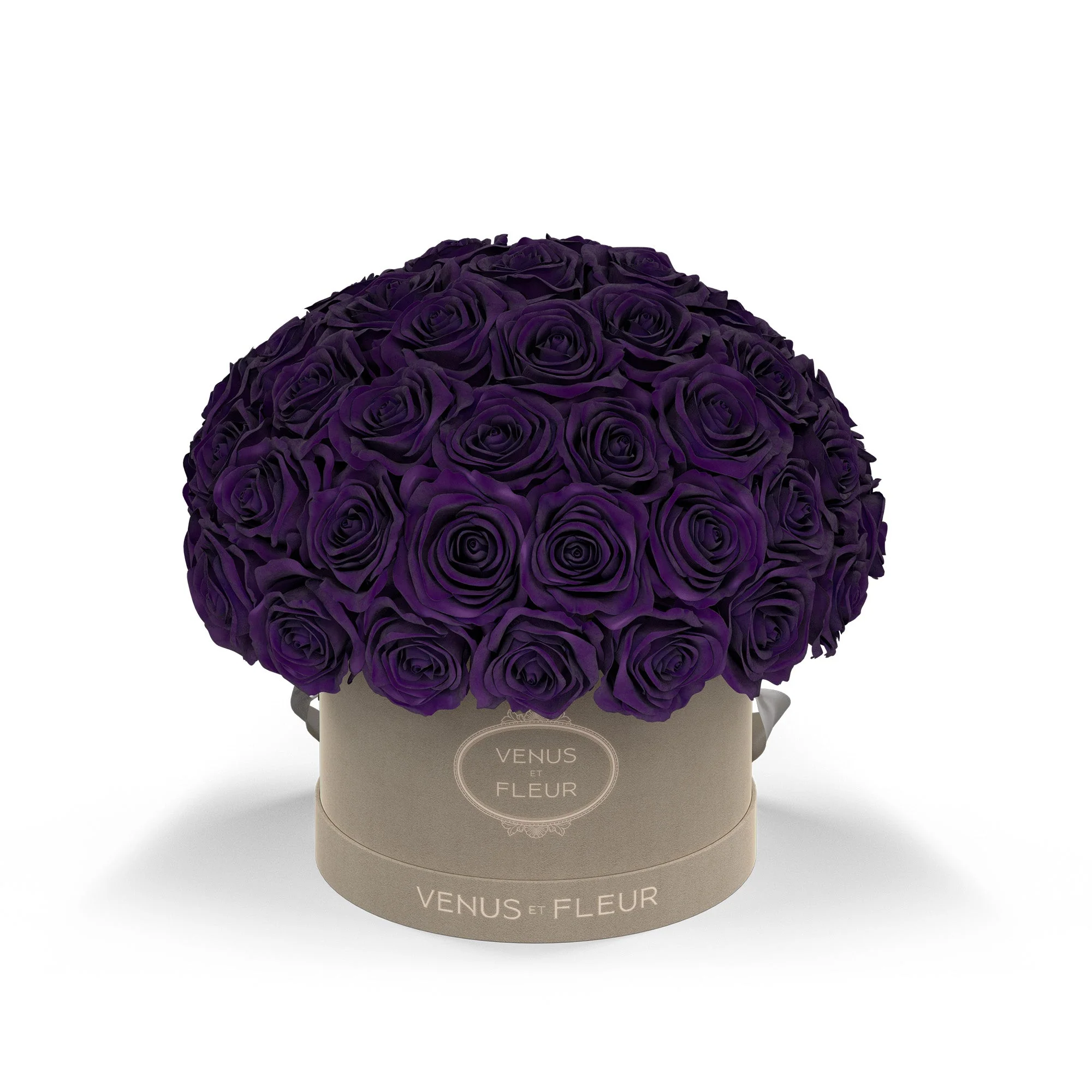 Small Le Plein - Image 8