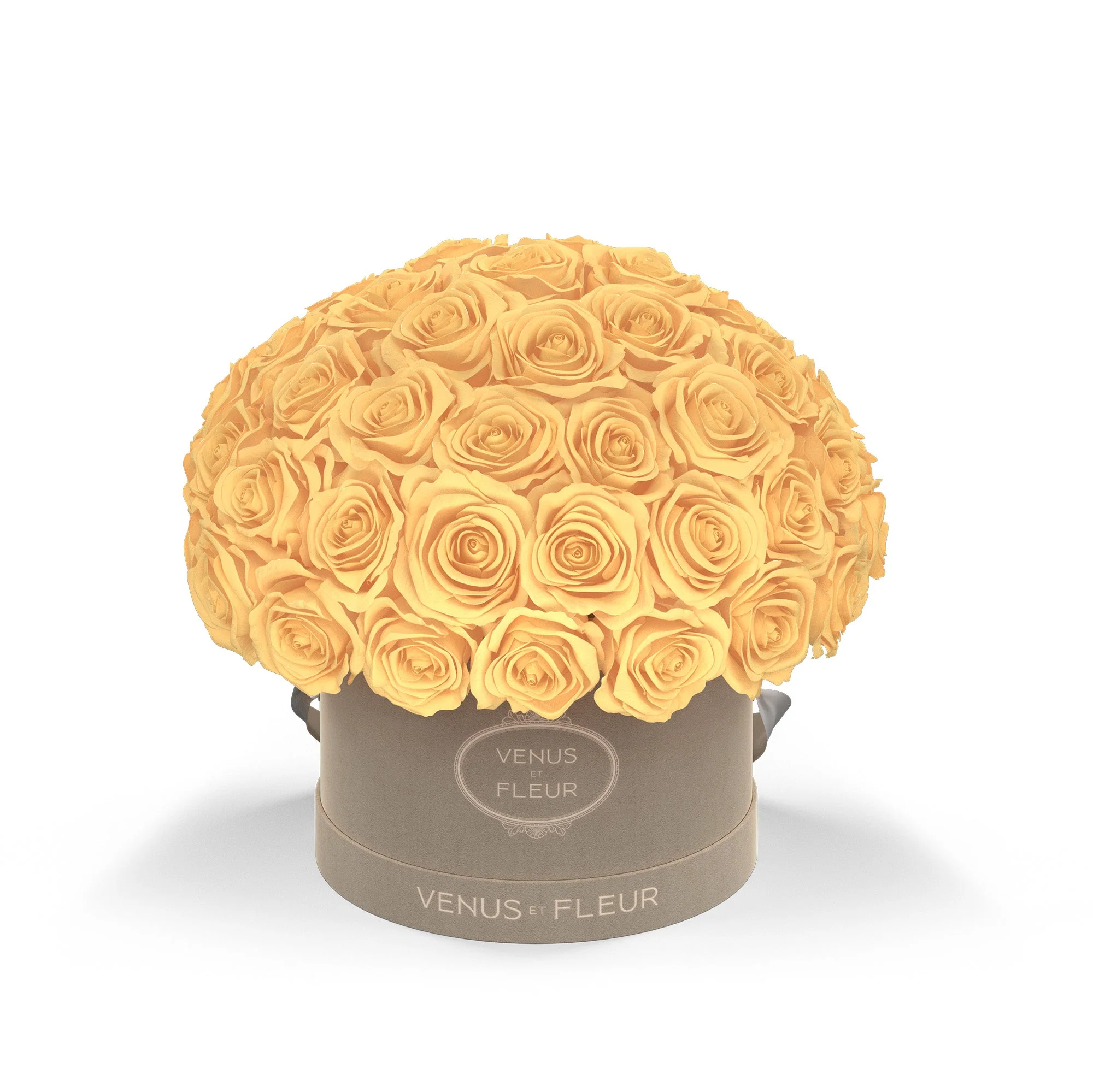 Small Le Plein - Image 9