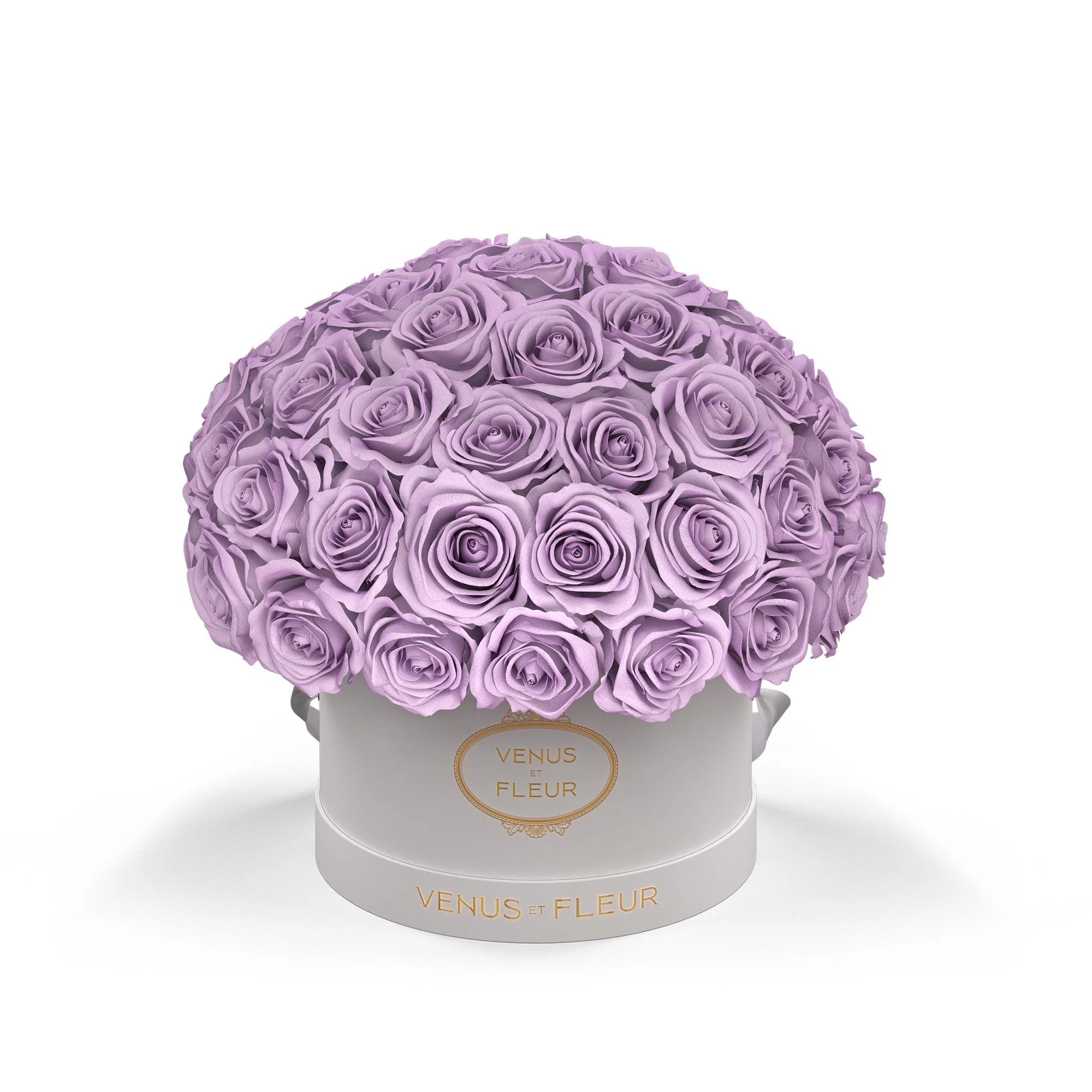 Small Le Plein - Image 10