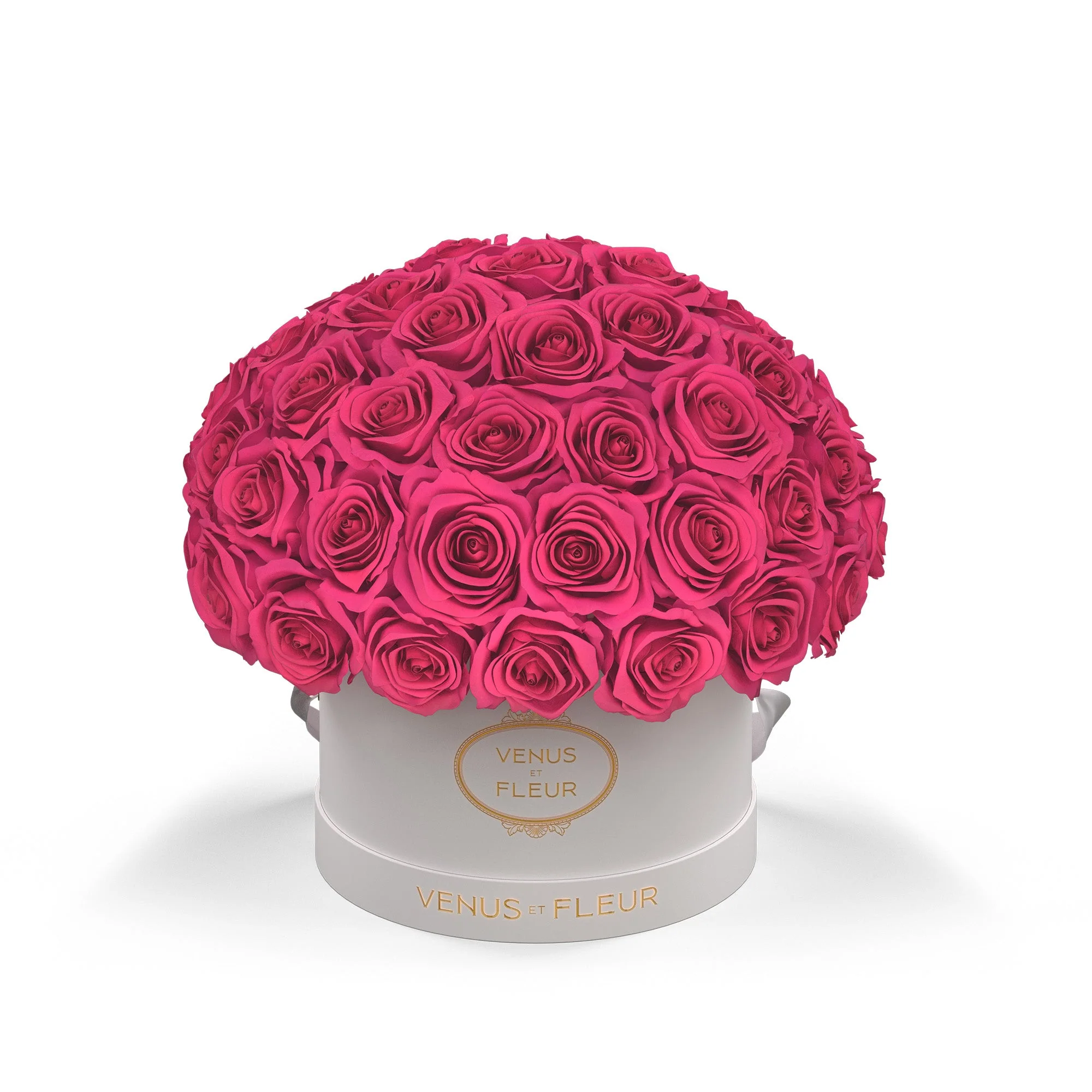 Small Le Plein - Image 12