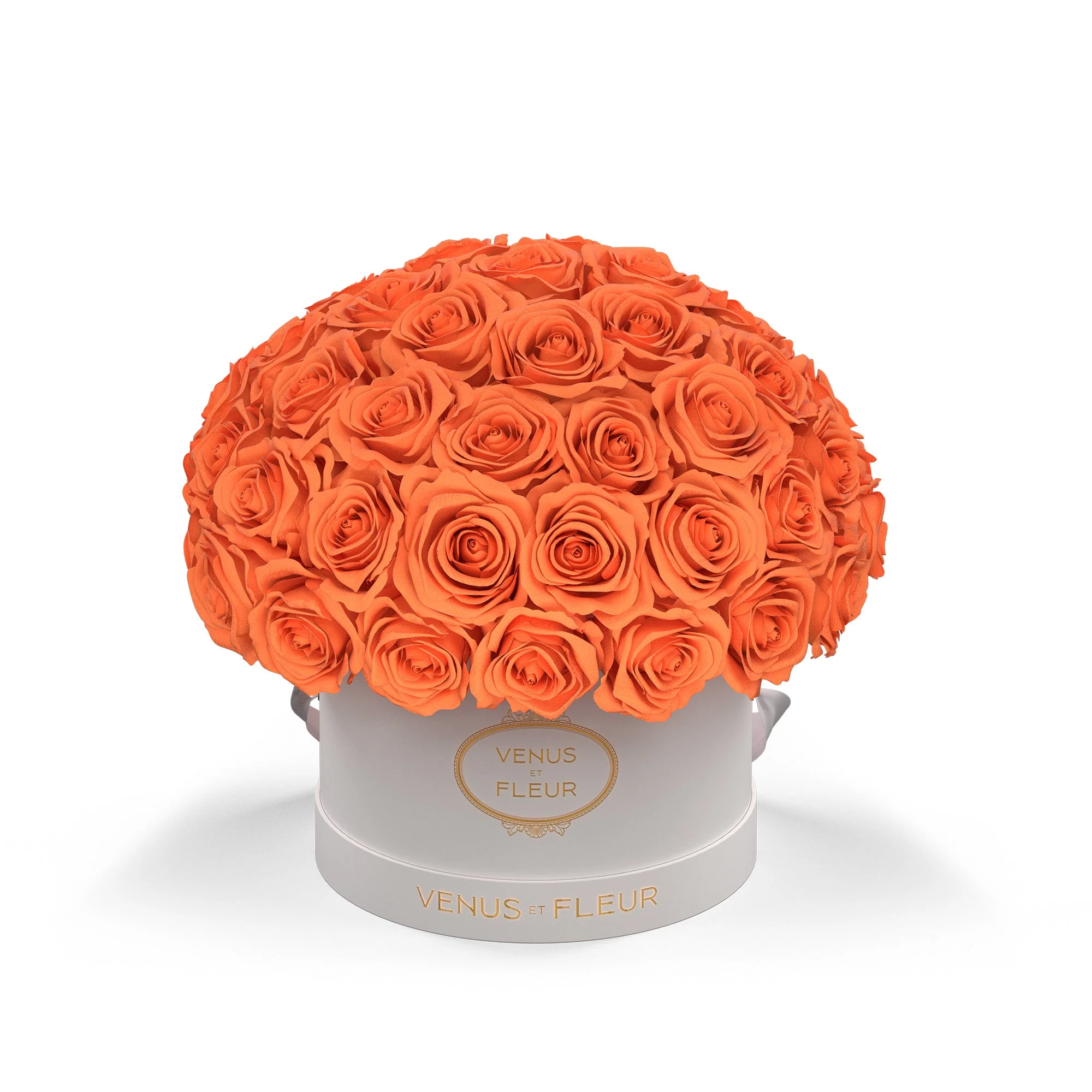 Small Le Plein - Image 13