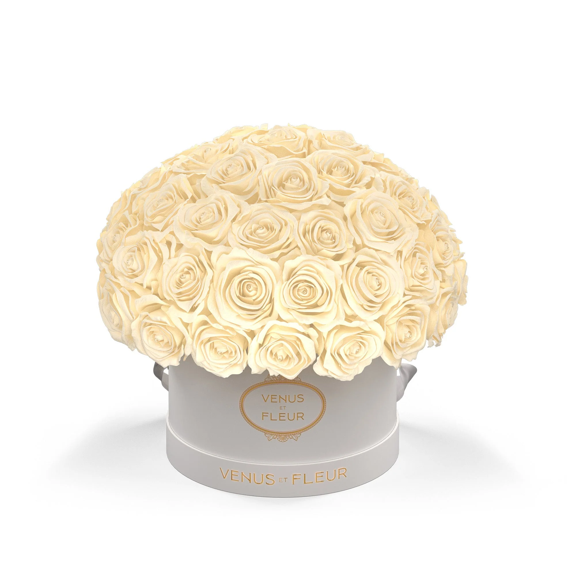 Small Le Plein - Image 14