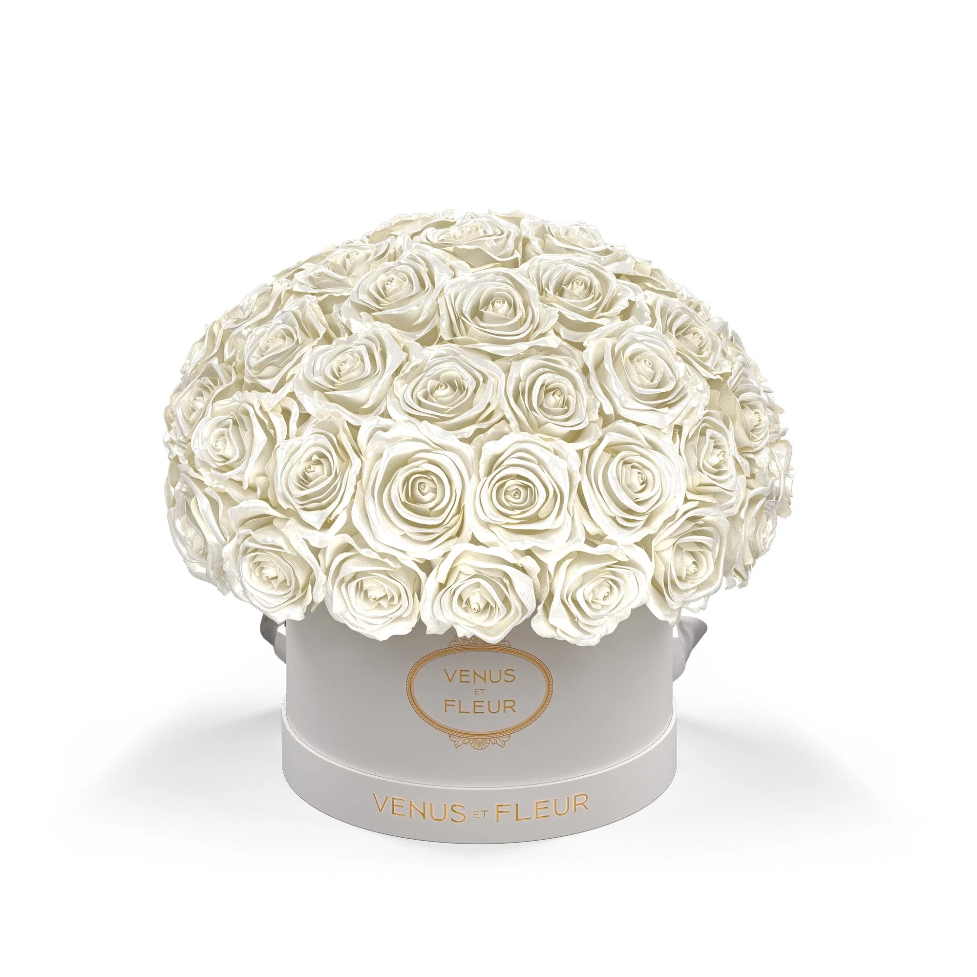 Small Le Plein - Image 15